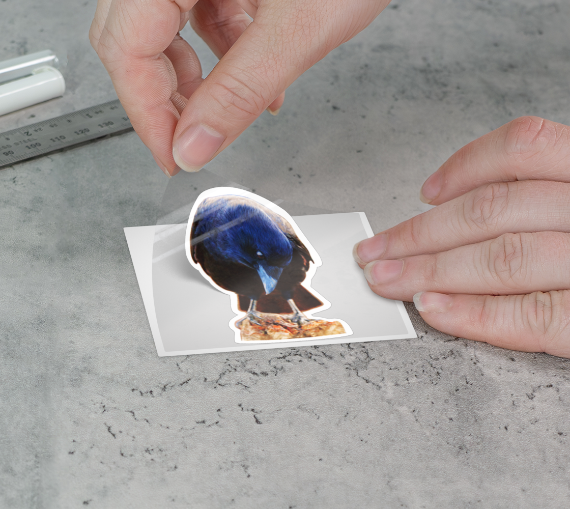 crow-sticker-no1-3x3-2.png