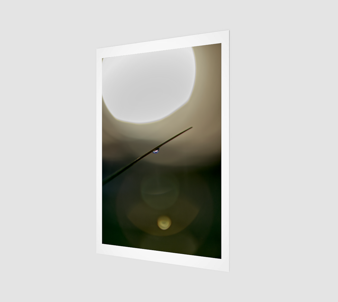 Water Droplet Macro Sept 30 2024 no.1.png