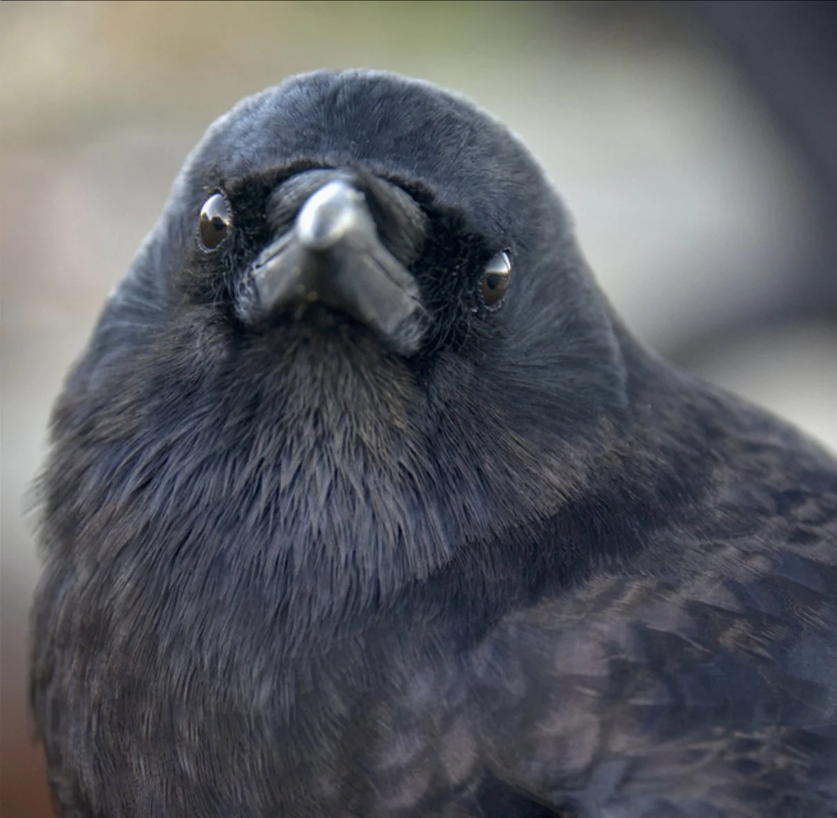 TCIK V1 - Pages 3A.jpg