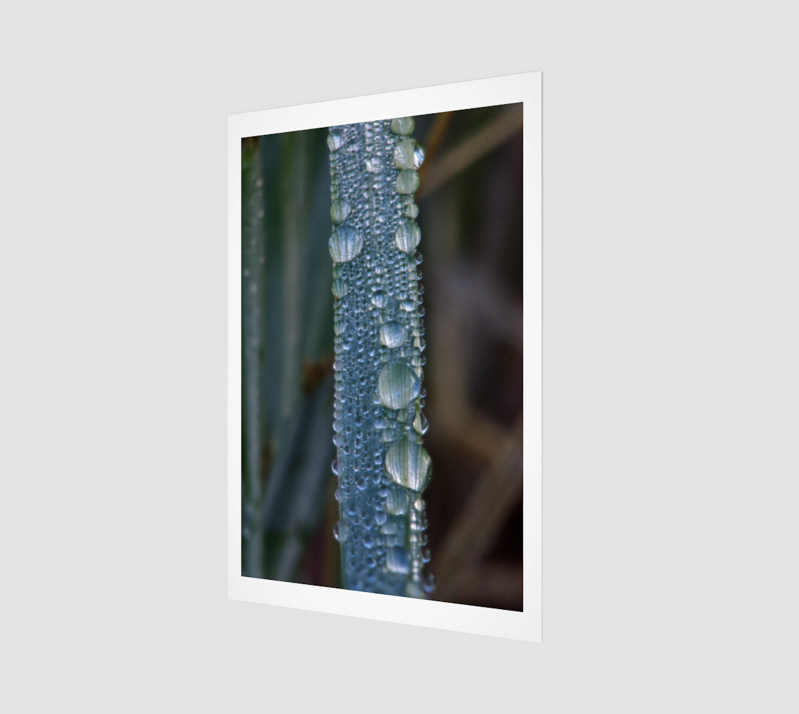 Water Droplet Macro Oct 2 2024 no.2.png