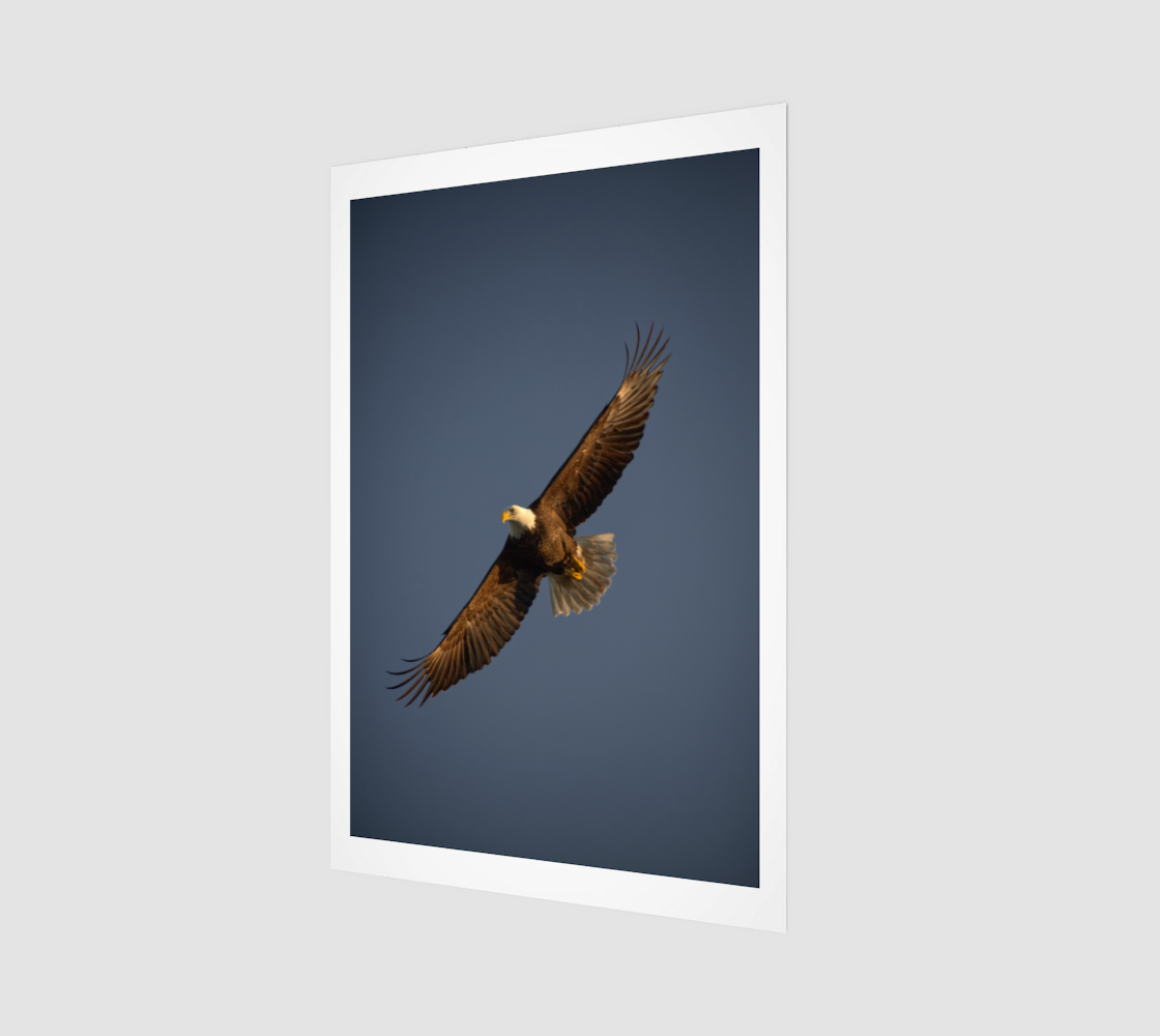 Eagle Flight Perfect Apr 17 2024 no.1.png