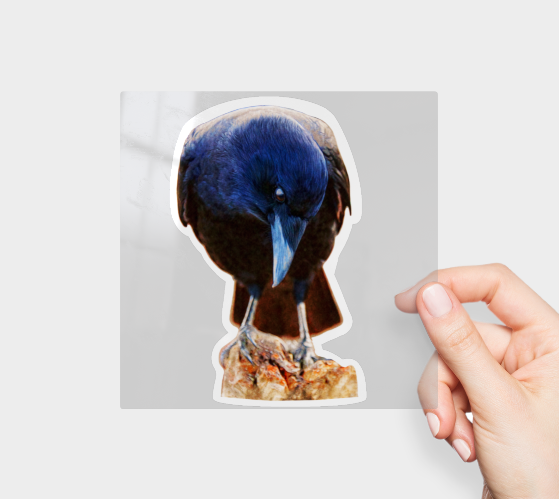 crow-sticker-no1-5x5.png