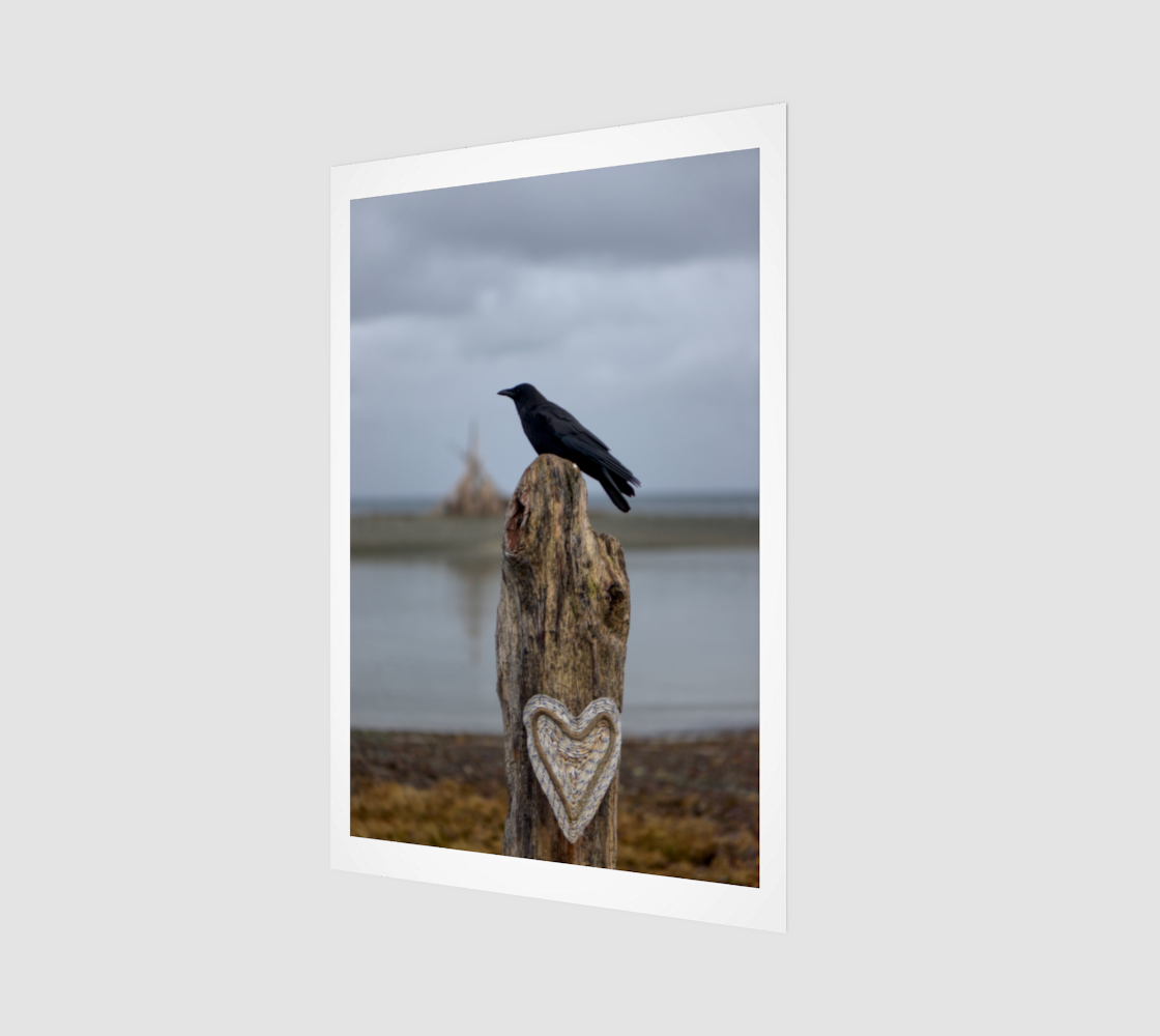 Crow Portrait no. 1509 Driftwood Heart.png