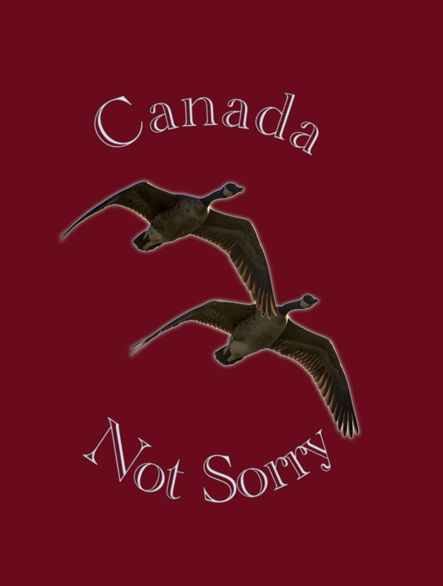 not-sorry-original.jpeg