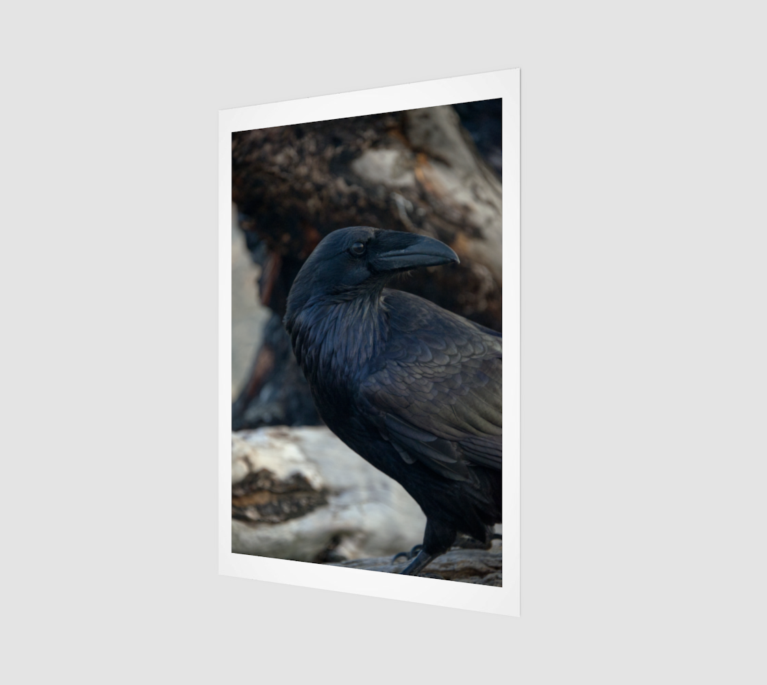 Raven Sept 6 2024 no.9.png