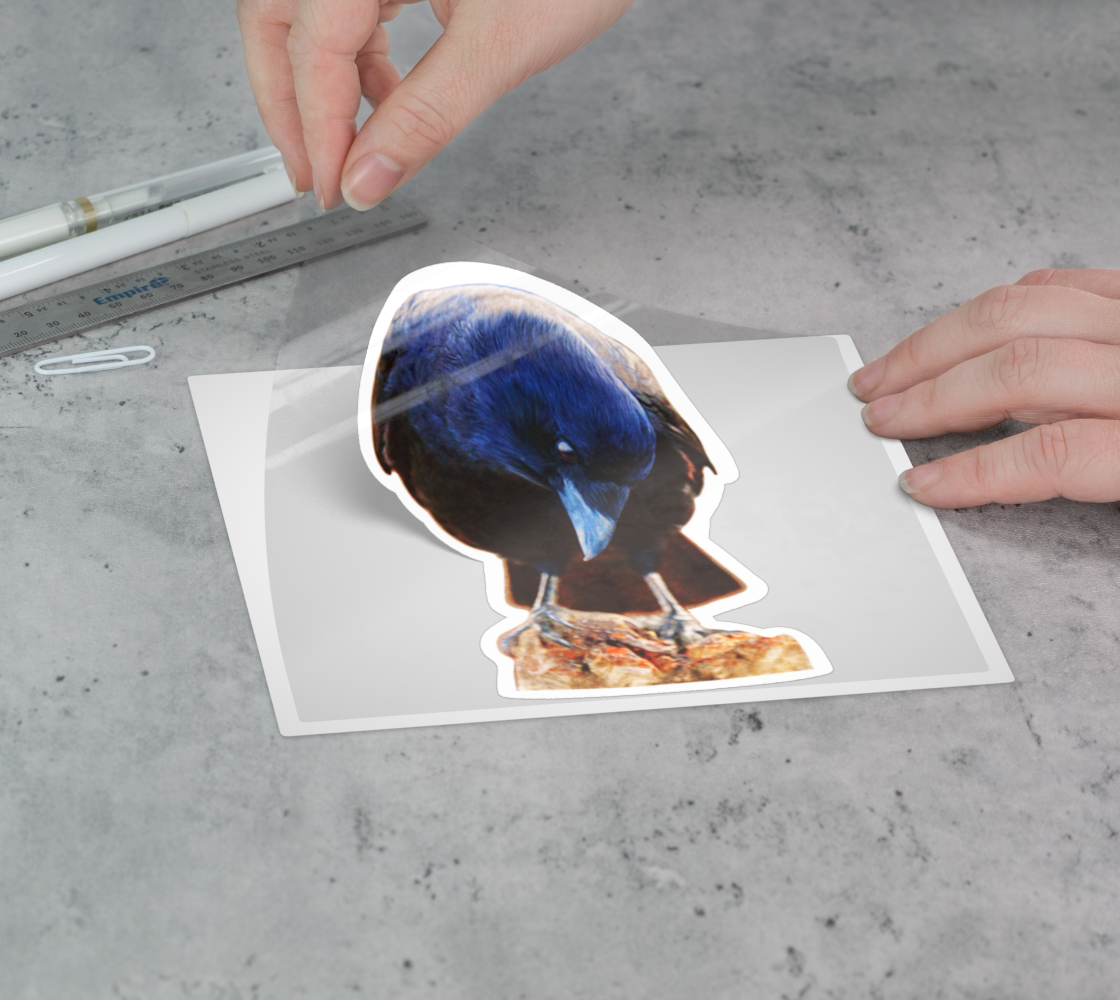crow-sticker-no1-5x5-2.png