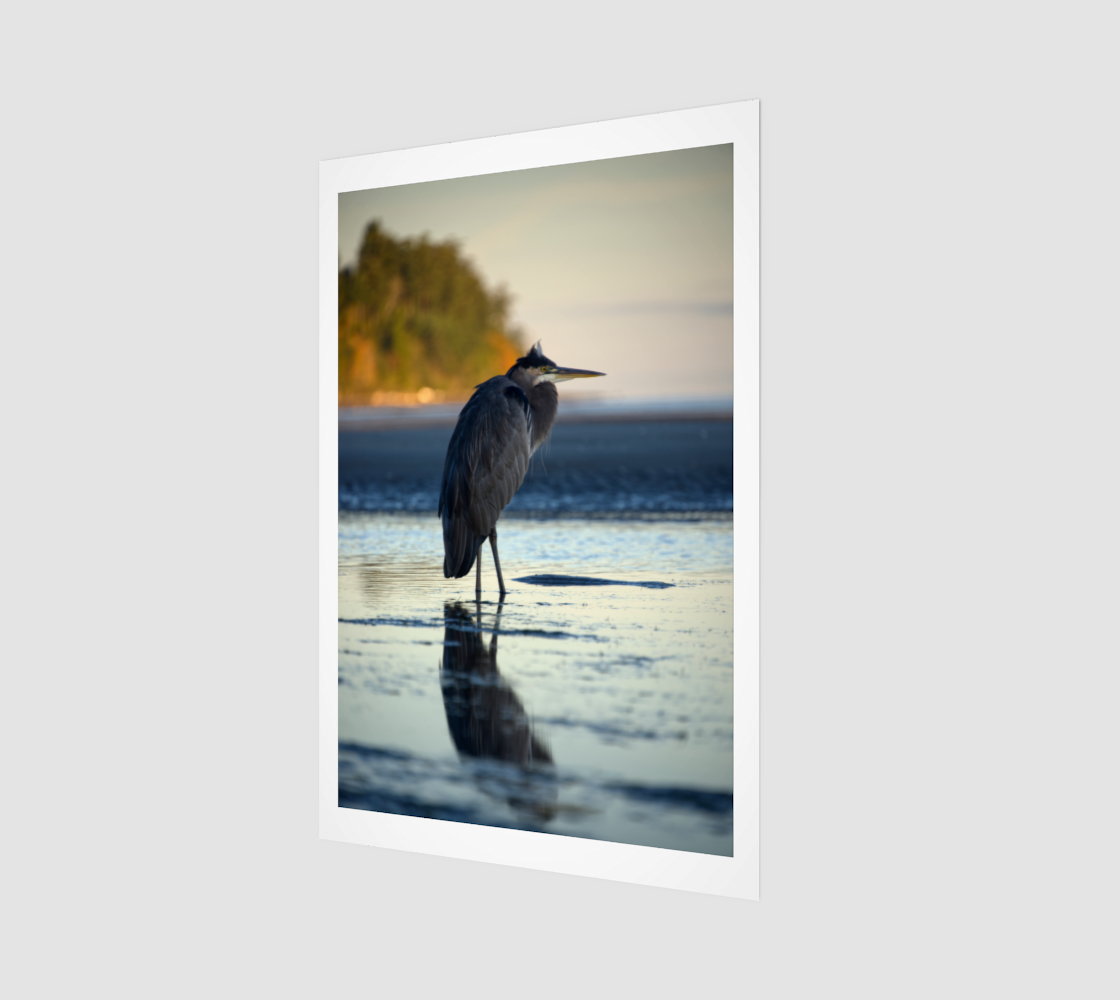 Heron Reflected Oct 6 2025 no.8.png
