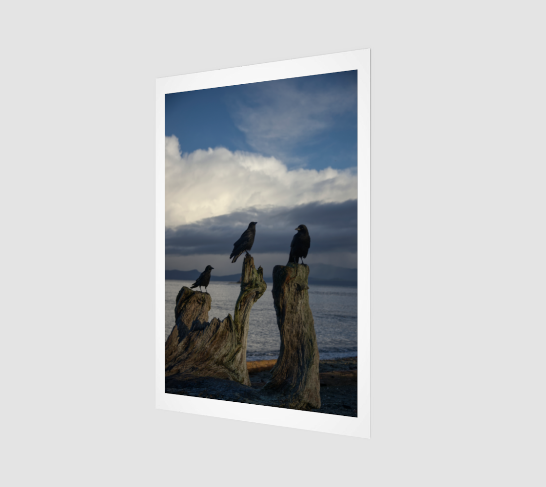 Crow Portrait no. 1469 Driftwood Group.png