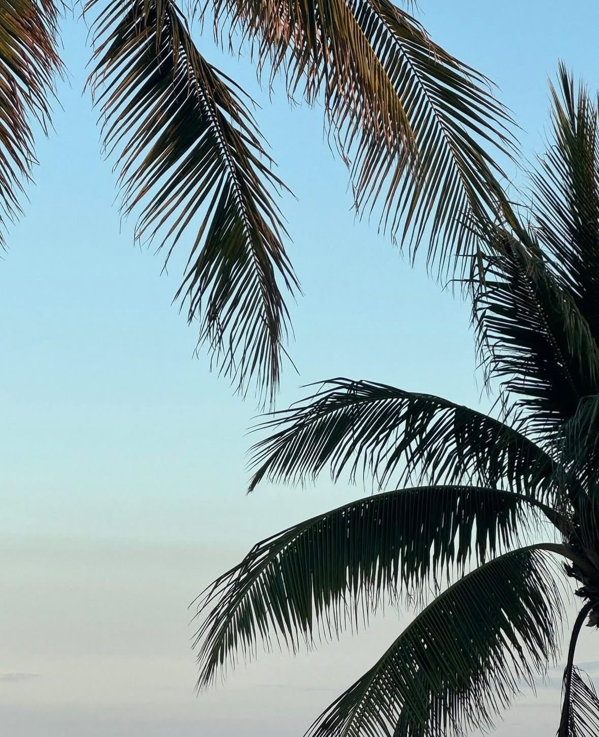 One of our favorite @shopgoldensun Key West Stockists 🌴