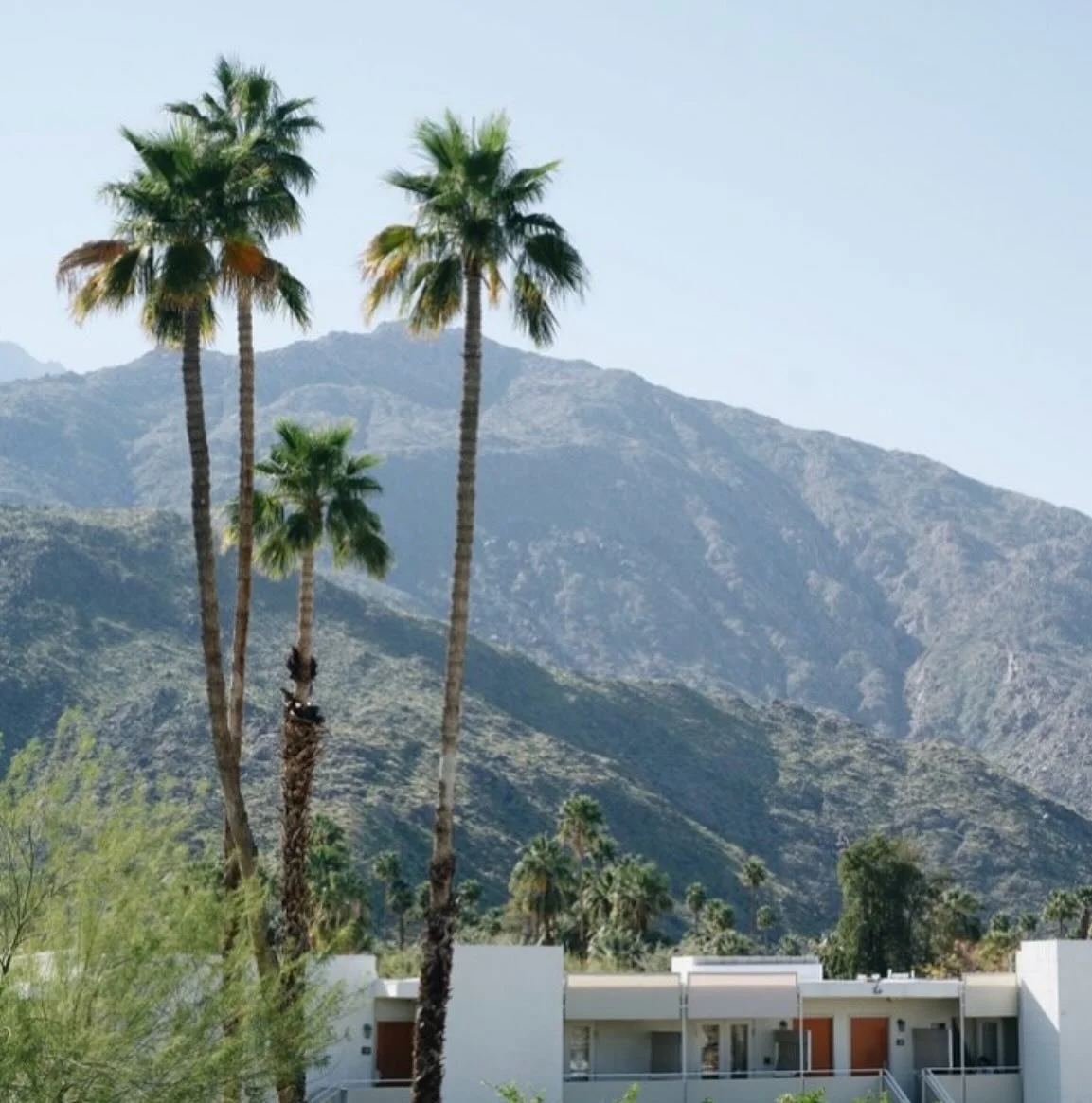 @davieochocandleco X @hyattpalmsprings 🌴