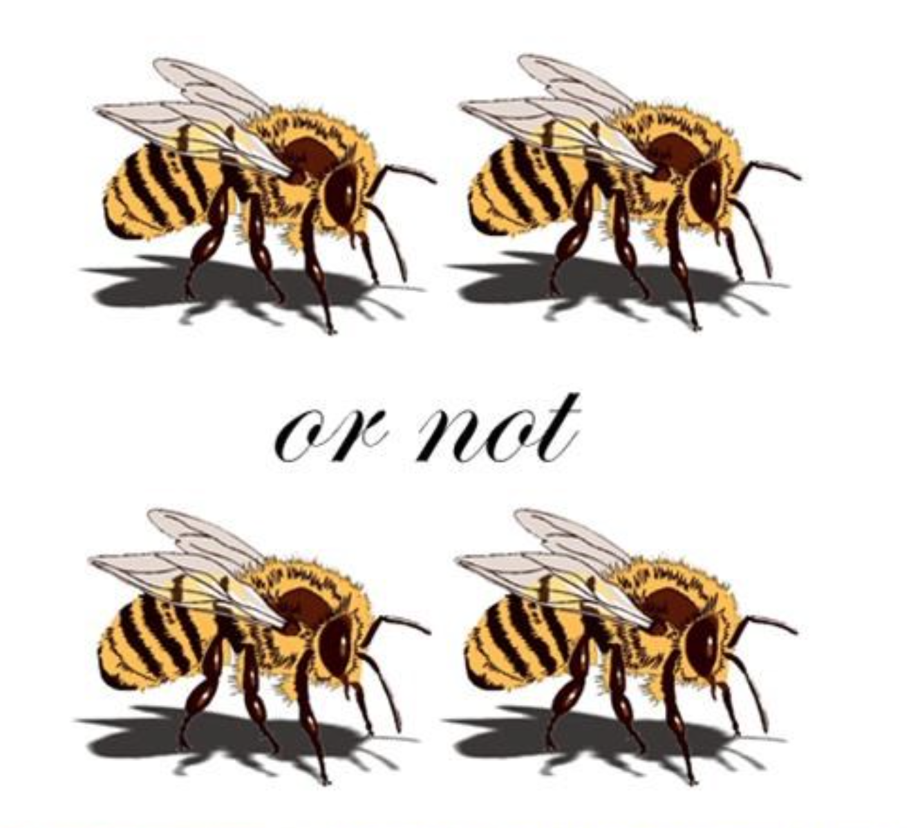 September is Bee Awareness Month