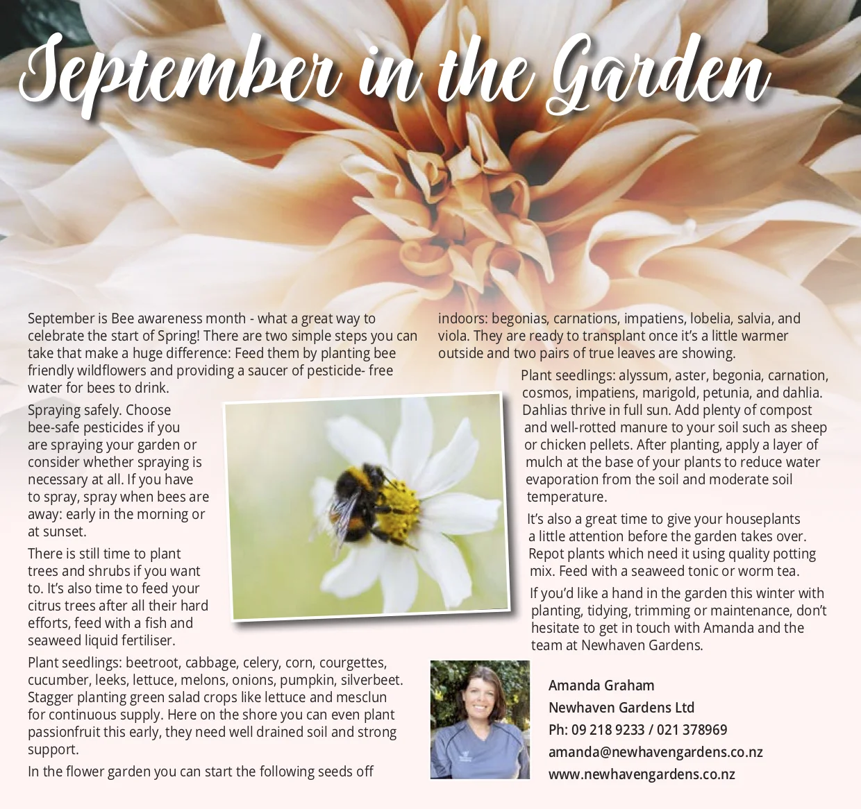 Garden september.jpg