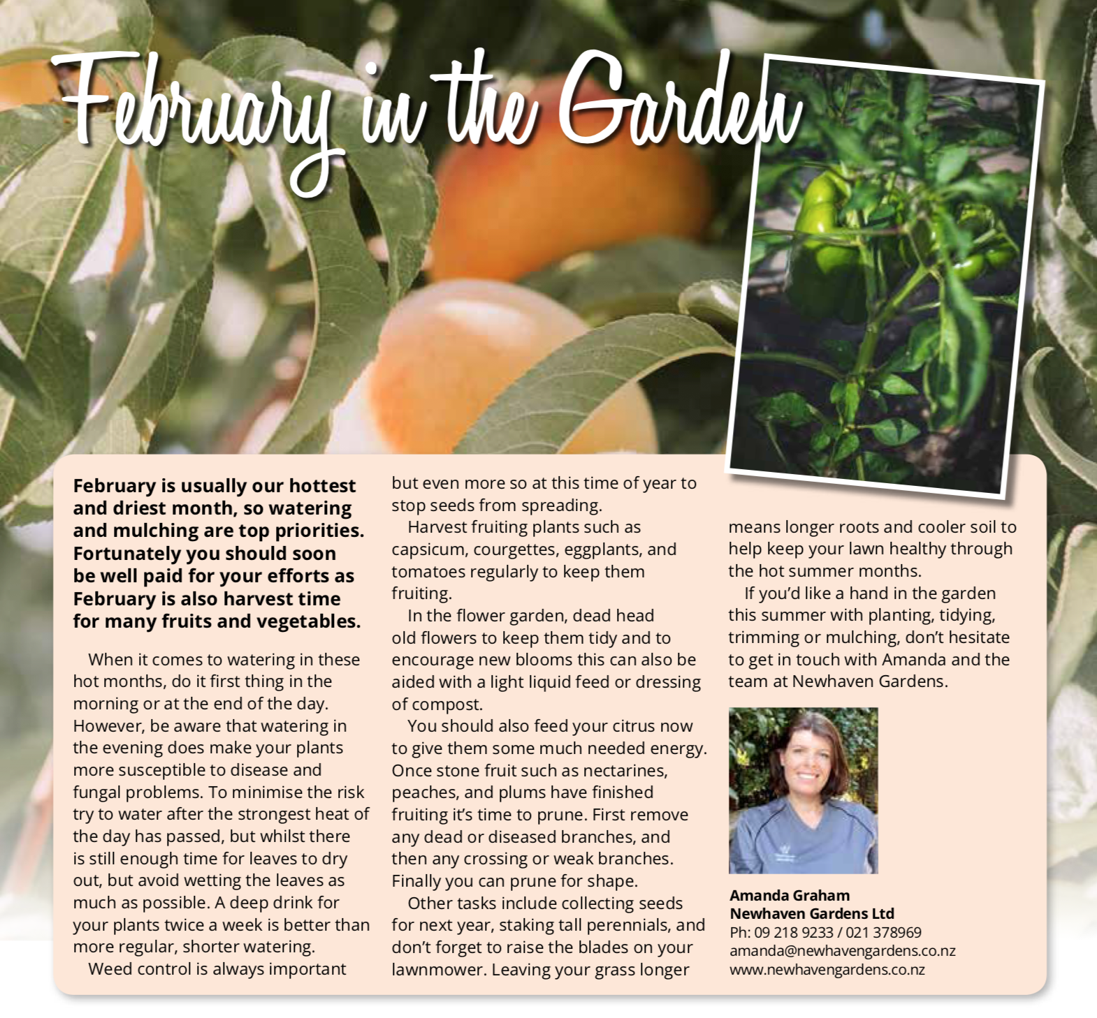 Screen Shot 2020-02-09 at 10.30.25 AM.png