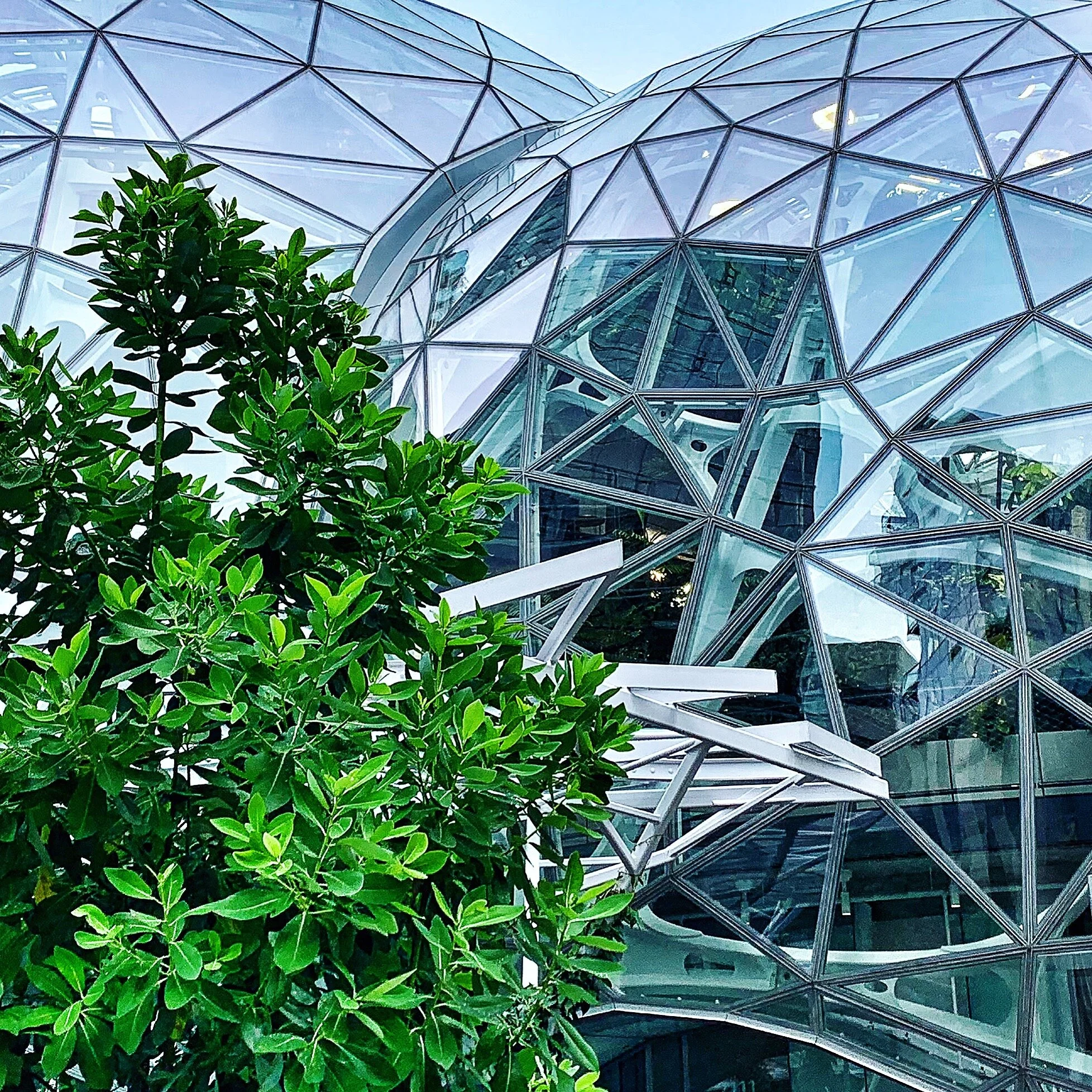 Geodome_Amazon_Seattle.jpg
