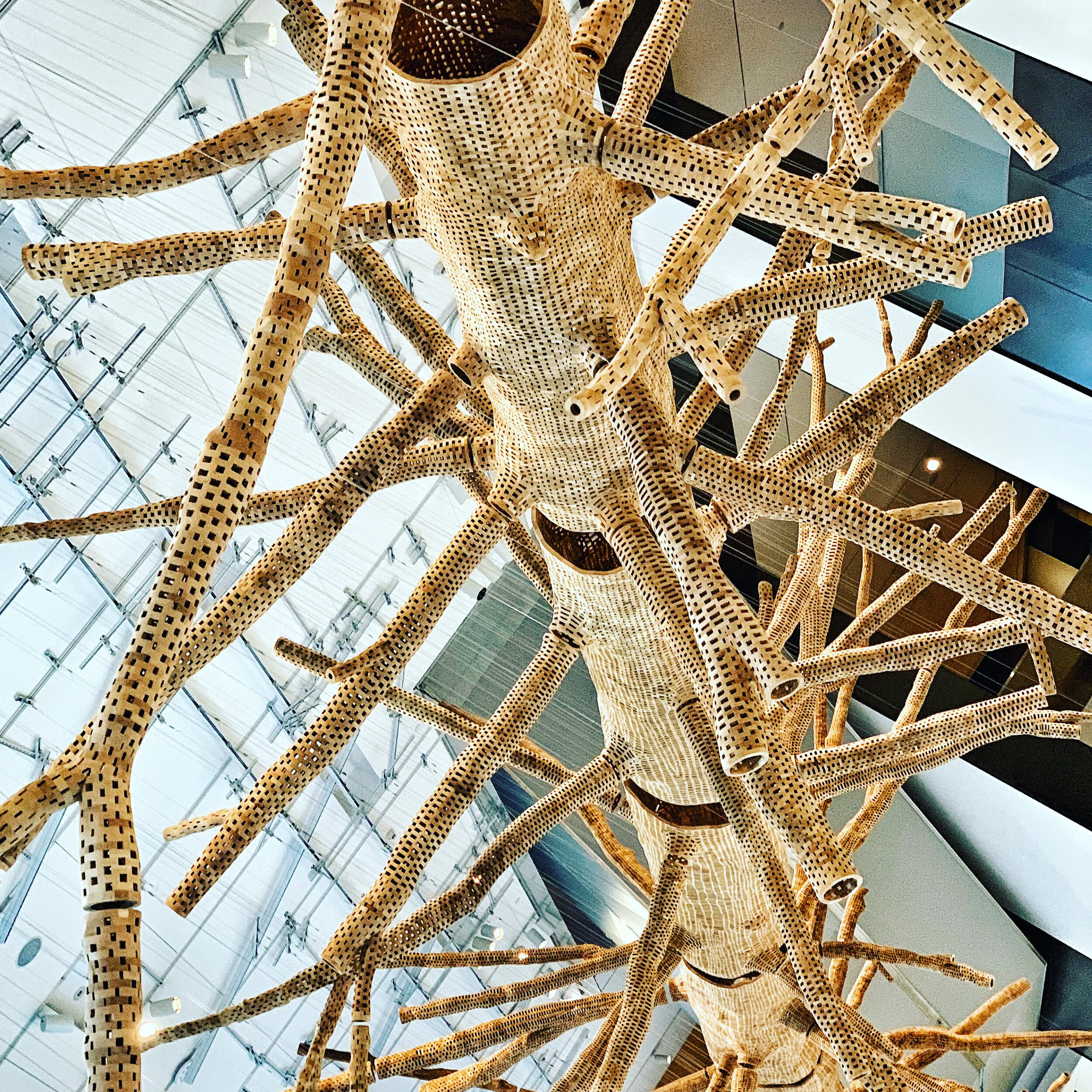 "Middlefork" by John Grady, Seattle Art Museum