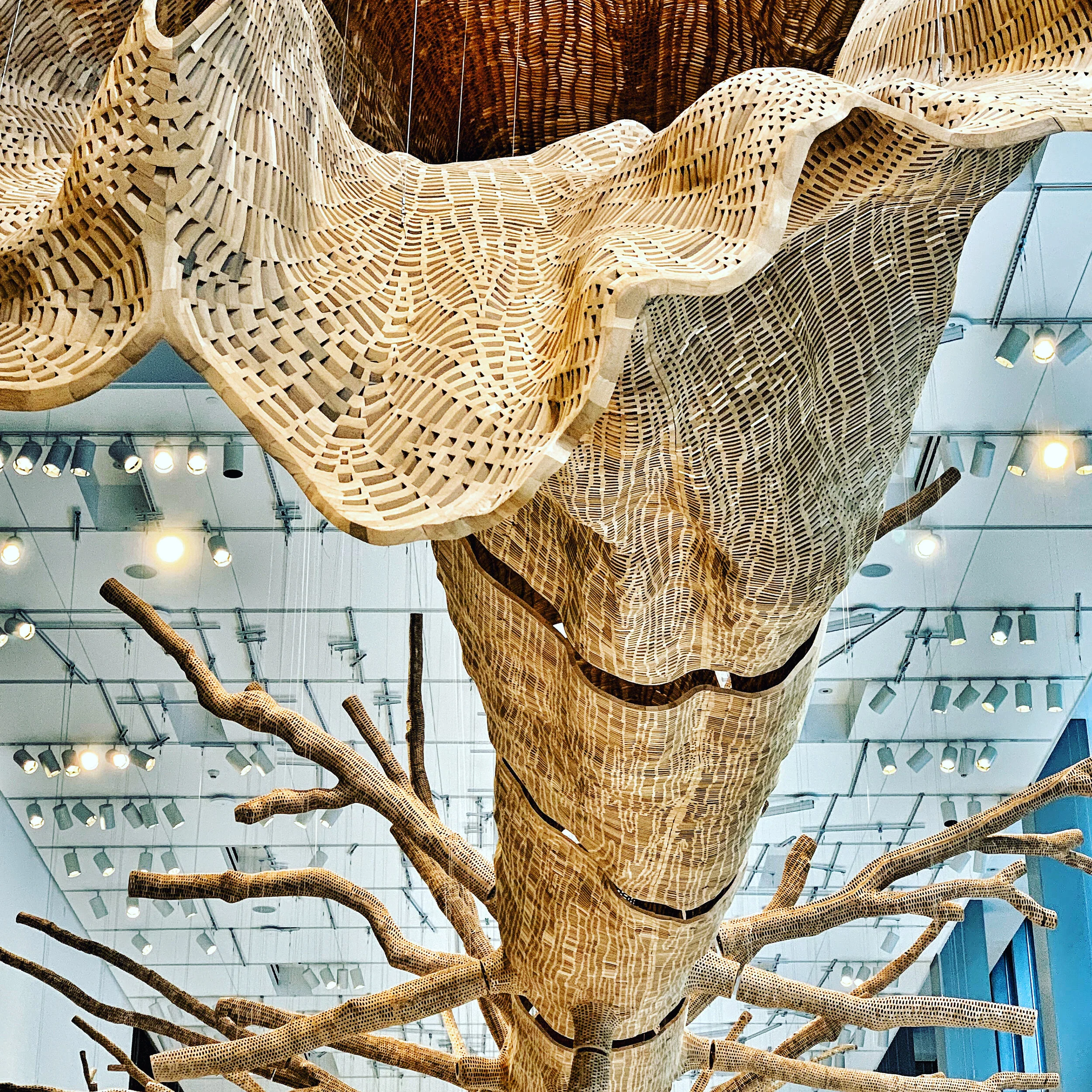 "Middlefork" by John Grady, Seattle Art Museum
