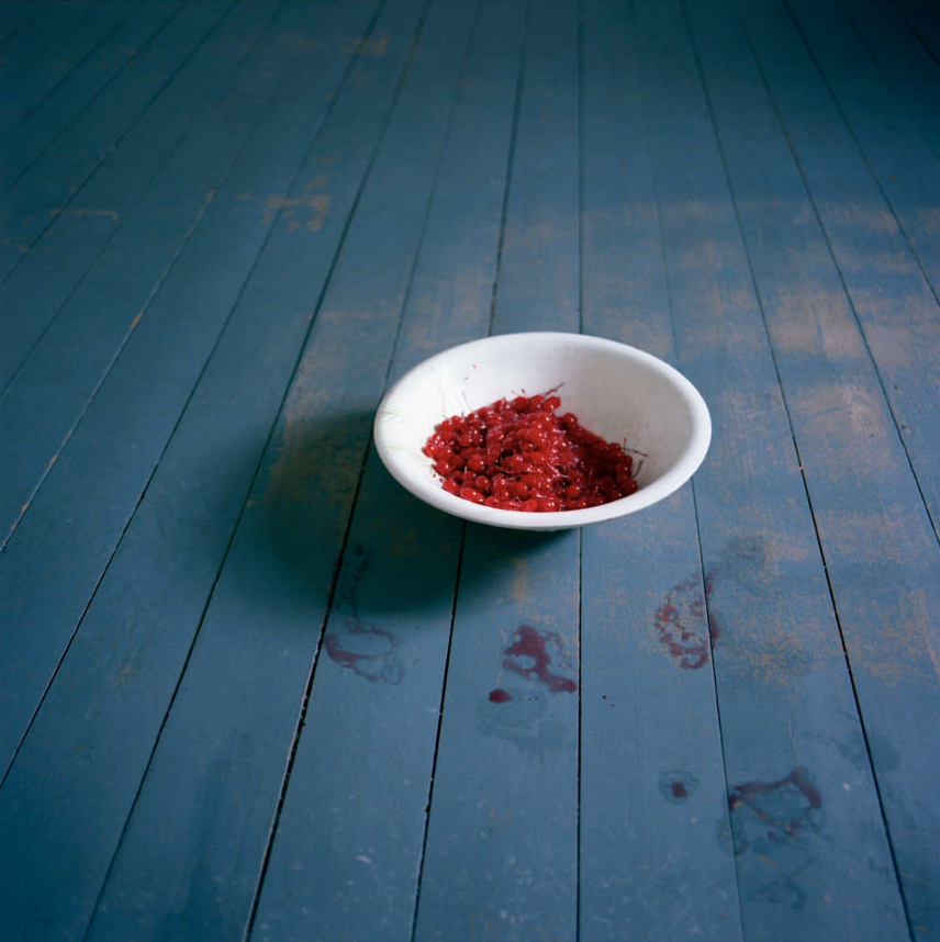 Cig Harvey: Bowl of cherries