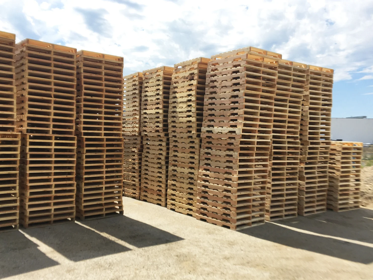 Bc Pallets Coldstream Lumber | Lumber Remanufacturing | Coldstream, BC