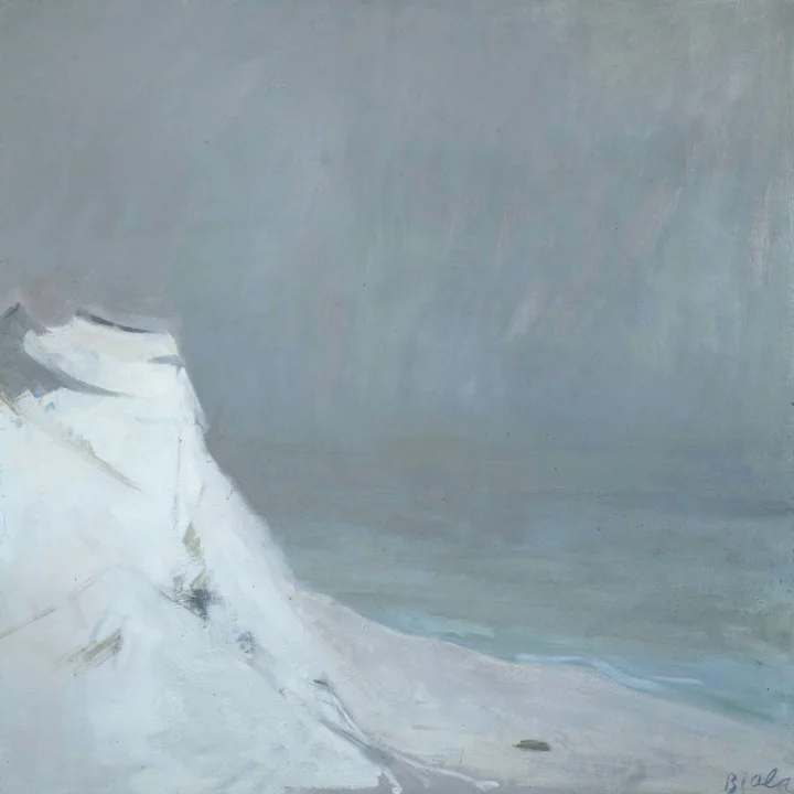 Cape Cod Fog, 1982