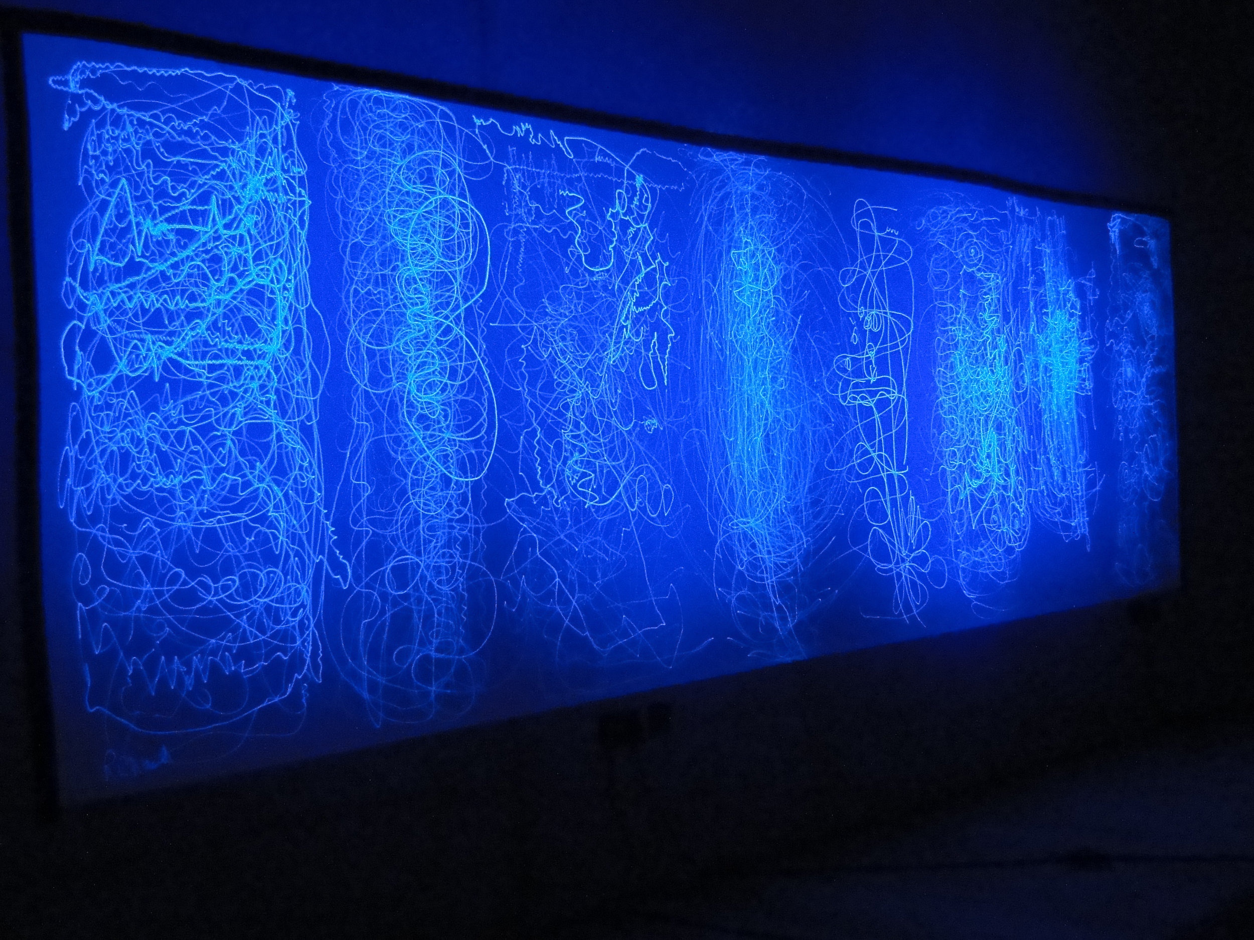 DSC02014.jpg