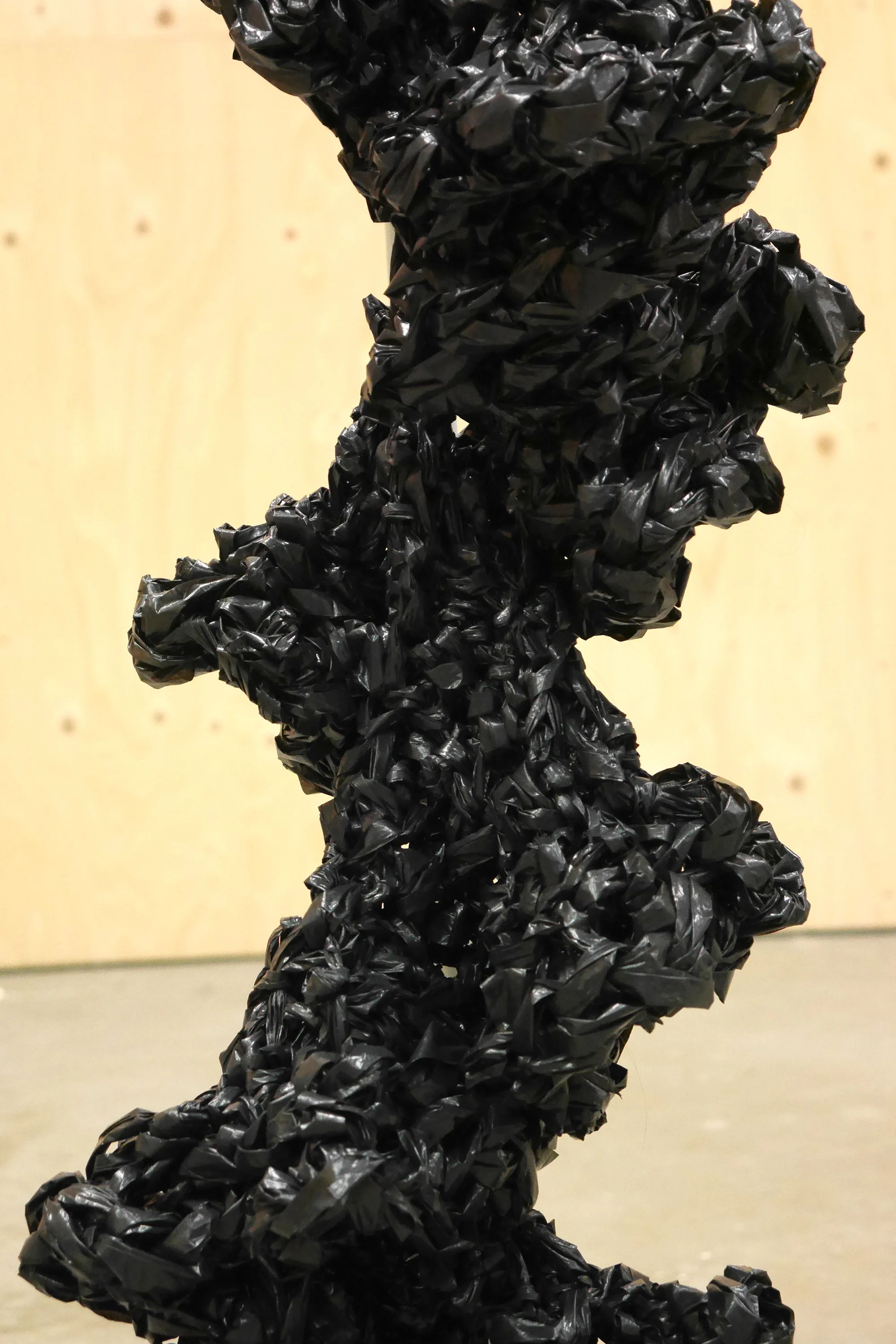 The Black StructureP1030213.jpg