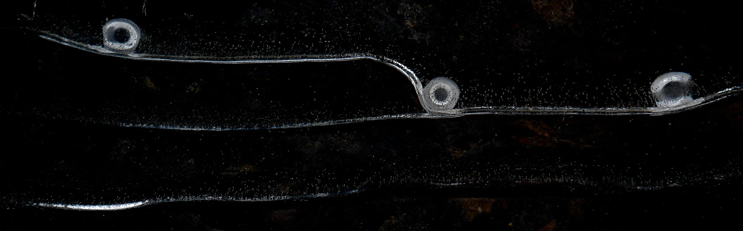 Black Ice P1030873-Editv2.jpg