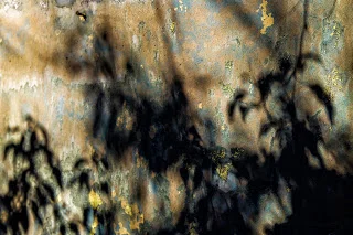 Derelict 21 of 15 Lynda Beckett.jpg