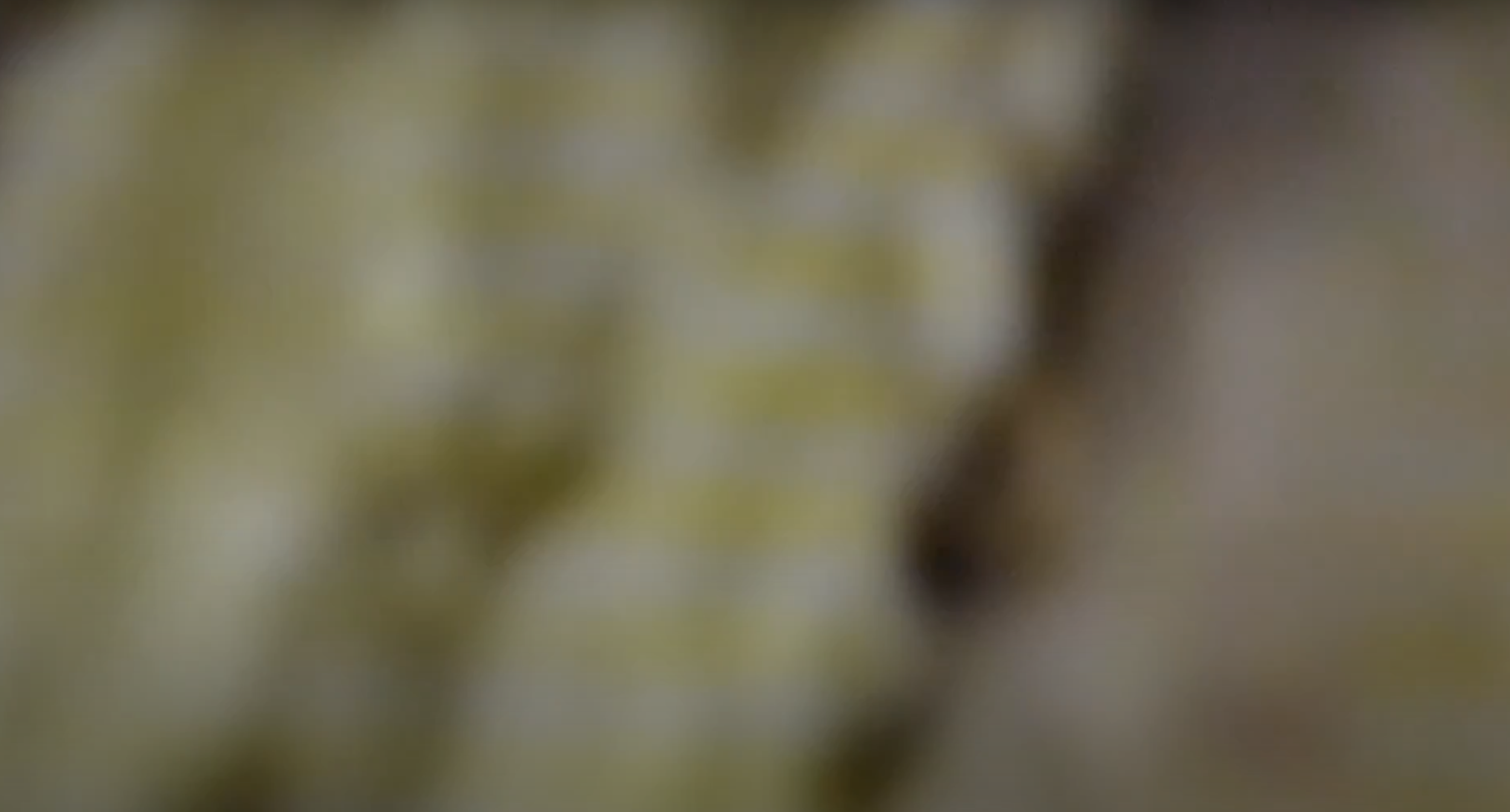 Screenshot 2023-01-09 at 15.47.21.png