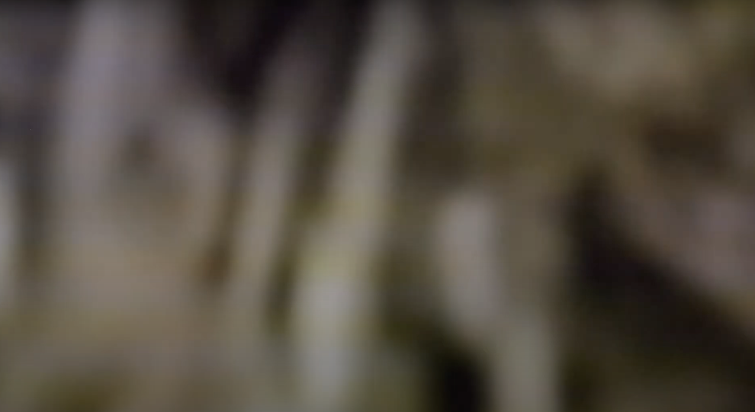 Screenshot 2023-01-09 at 15.54.53.png