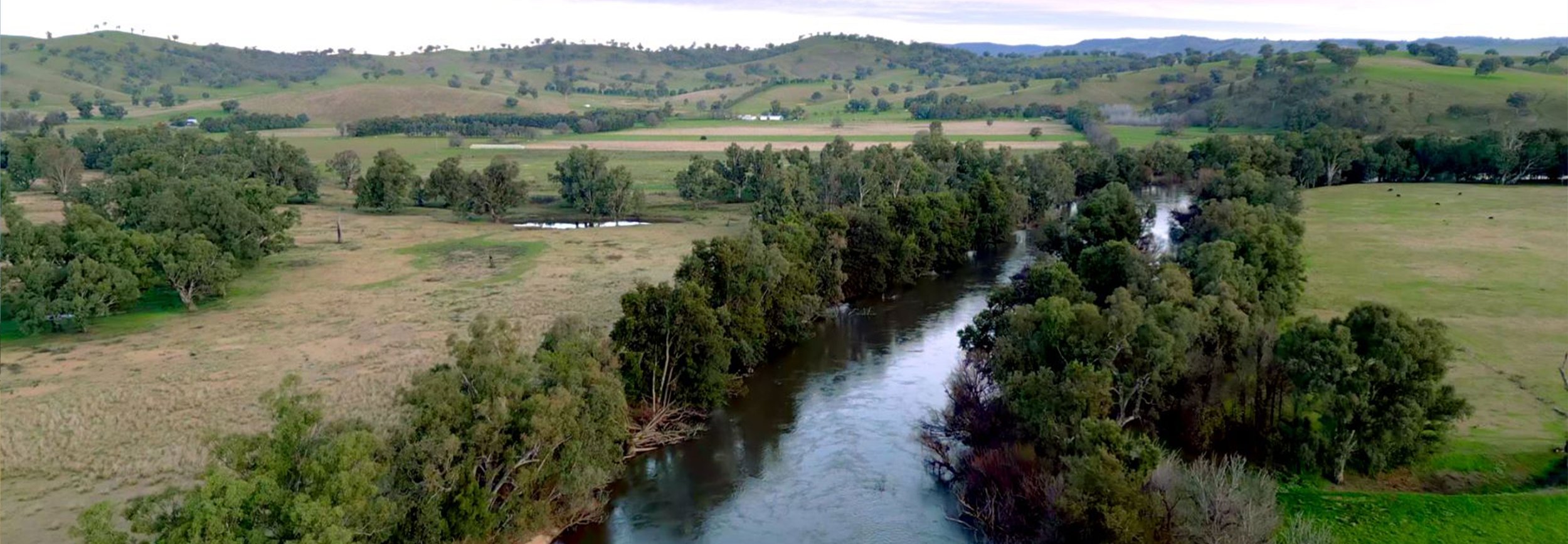 Riverina NSW.jpg