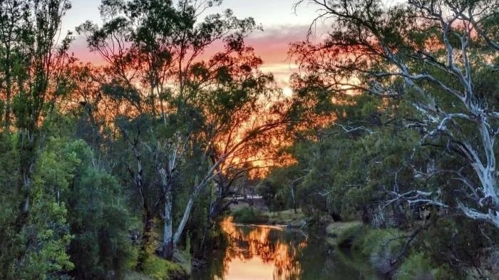 Condobolin.jpg