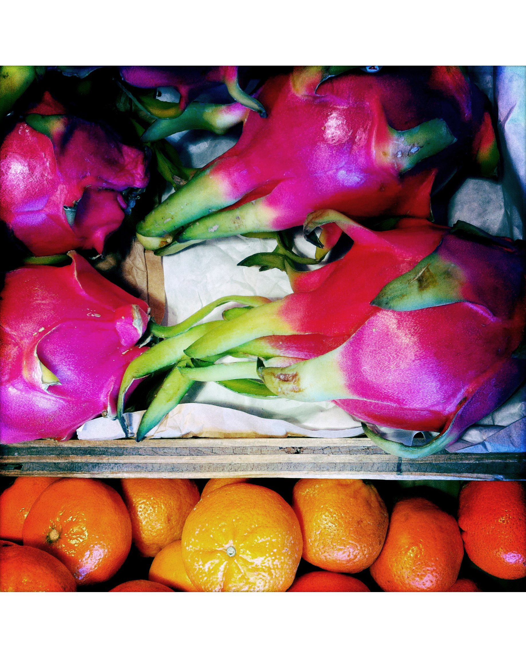 fruit_web.jpg