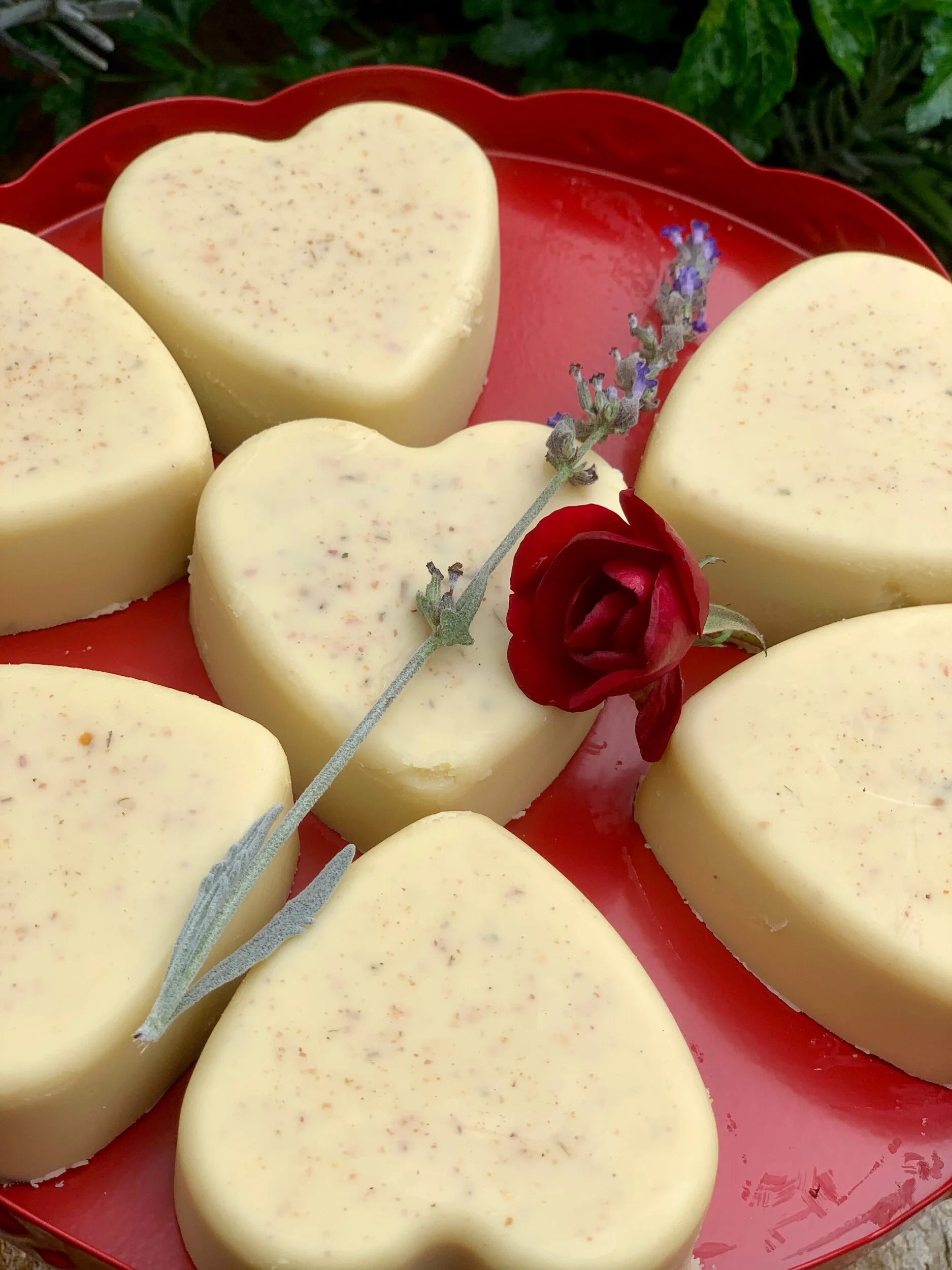 0ED4D368-E993-4A42-A4D9-CD14F0253127