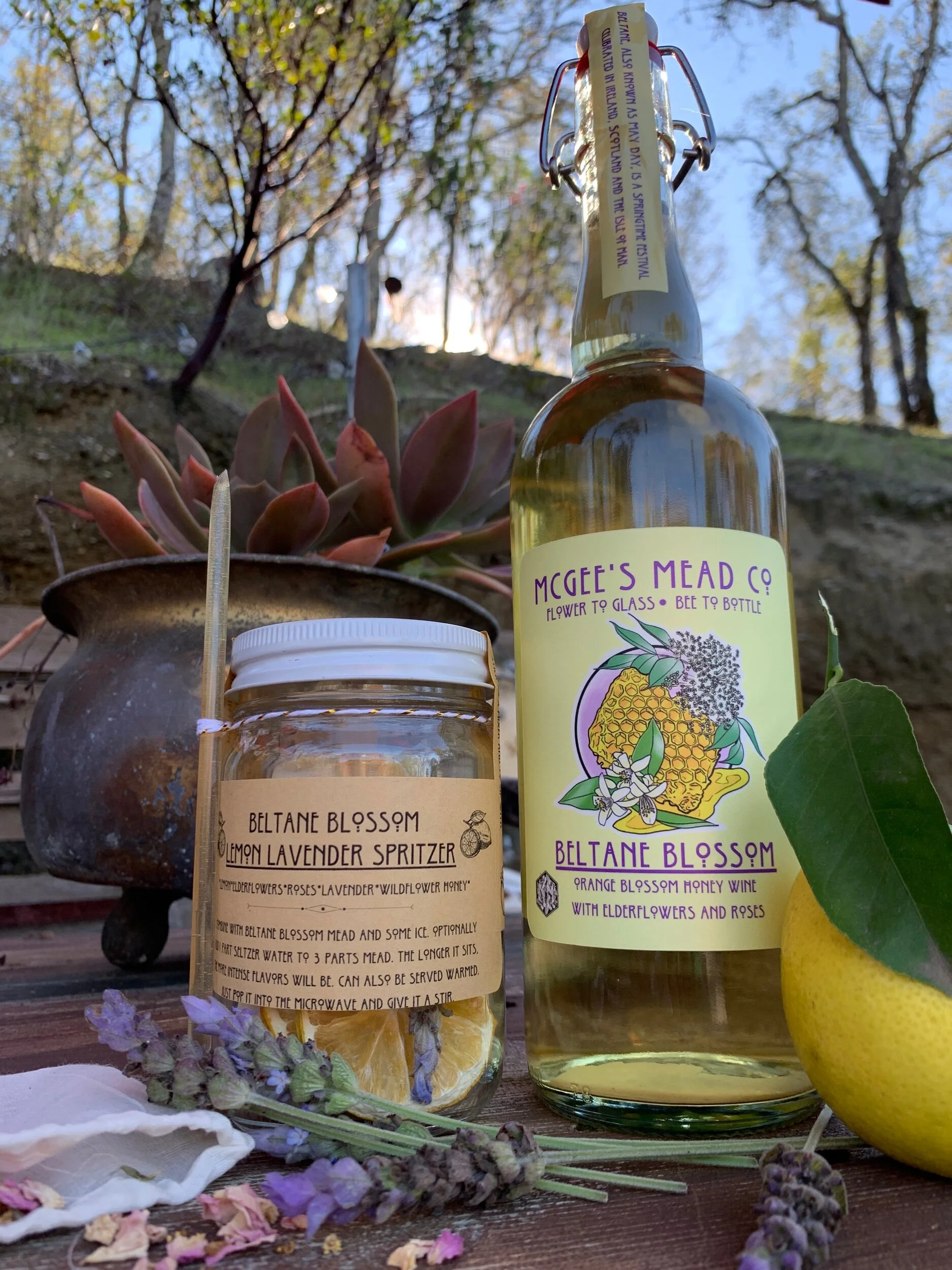 BA7E425B-23D3-43BA-AD50-02CBFDF8B75B