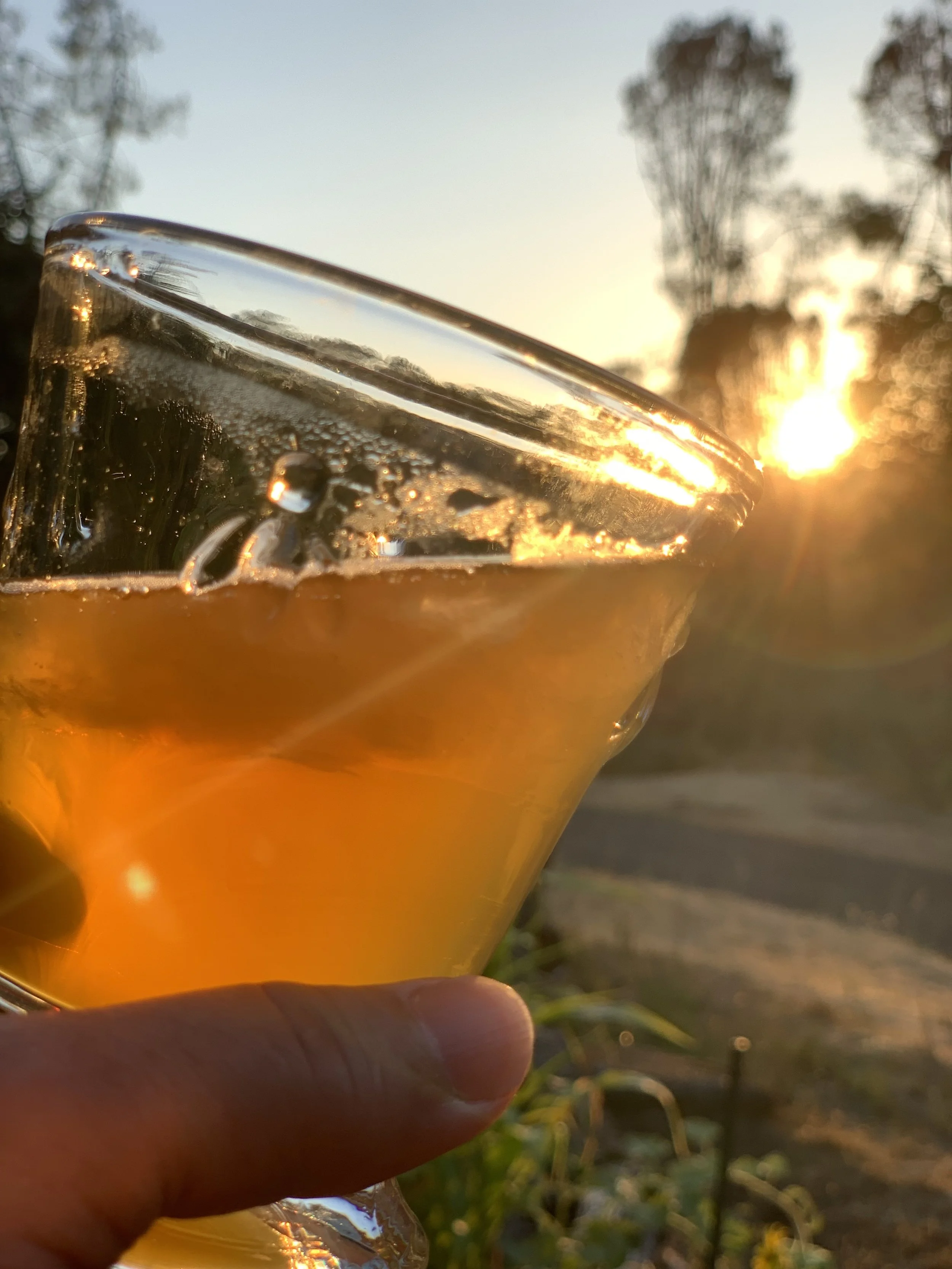 gingerj peach sunset copy.jpg