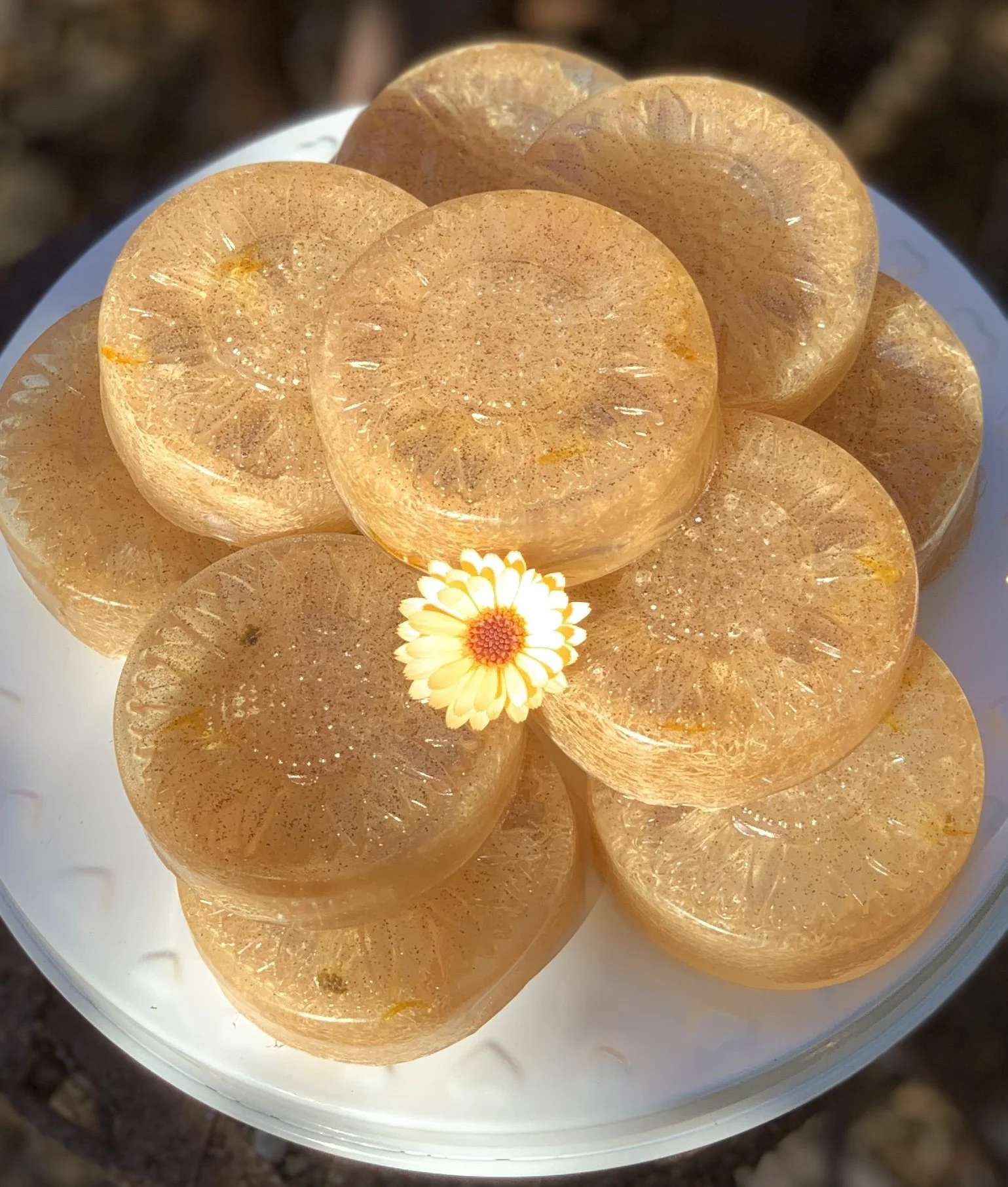 Bee Scrubbed Clean cake plate.jpg