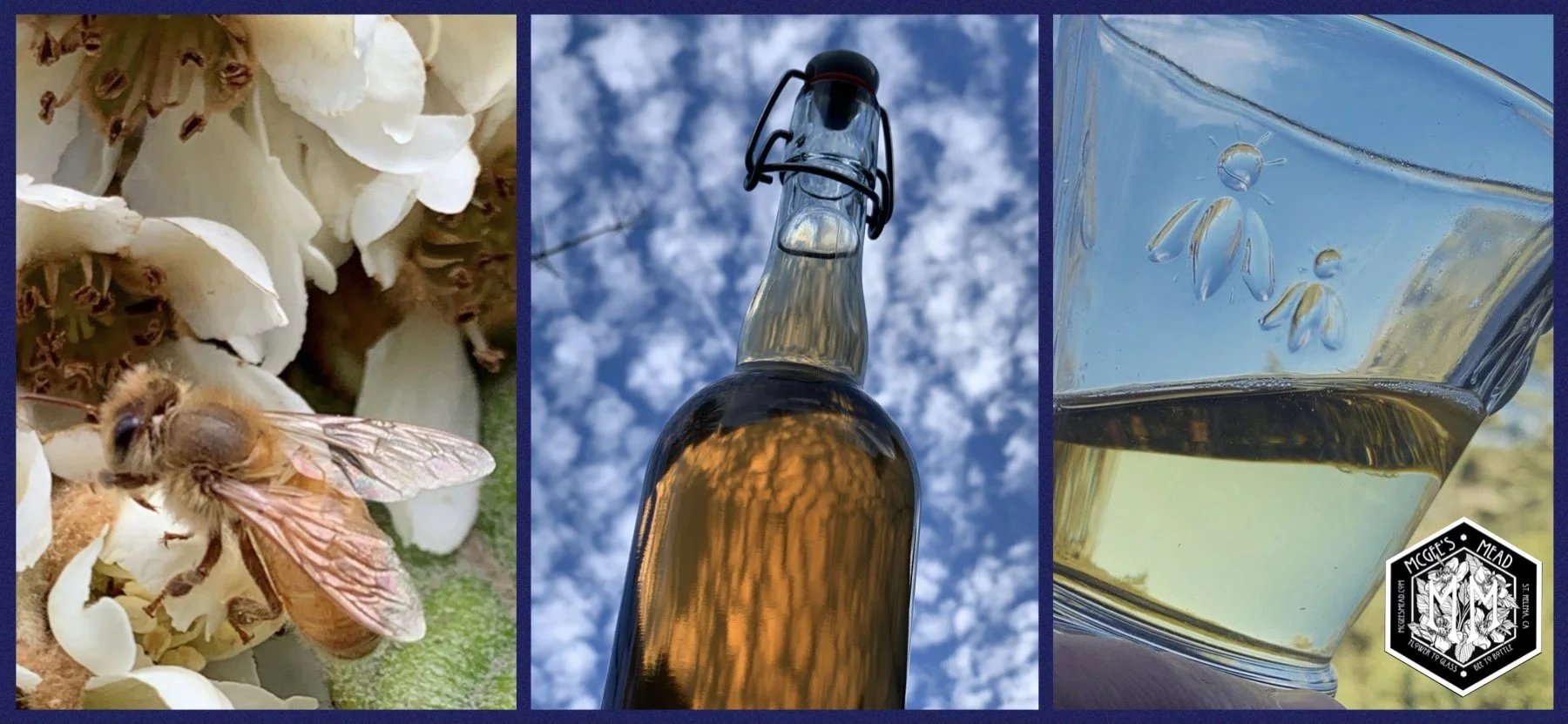 mead banner website.jpg