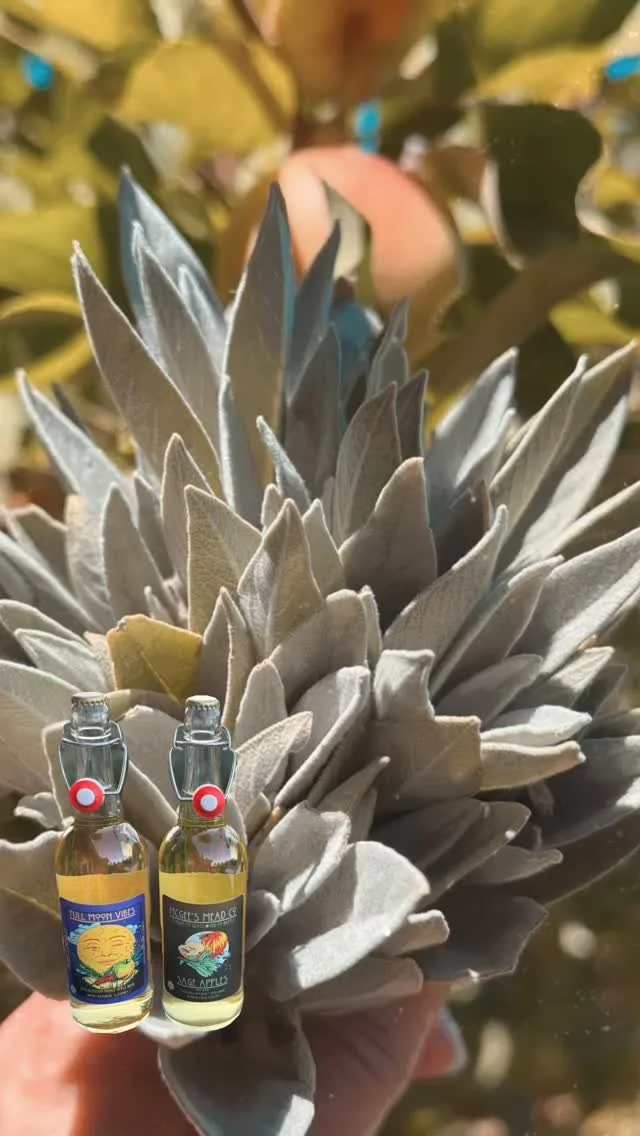 Coming this autumn…
πππ»ππ―π»π₯π«ππ
#mead #cyser #meadery #meadmaker #napavalley #sonomacounty #craftbeverage #smallbatch #artisanmade #handcrafted #mcgeesmead #flowertoglassbeetobottle