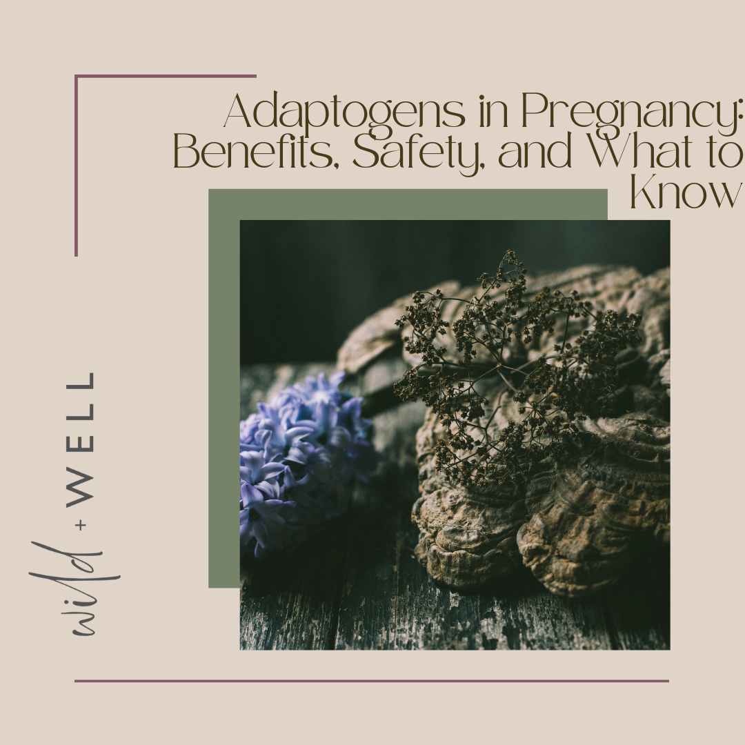Adaptogens in Pregnancy: Benefits, Safety, and What to Know