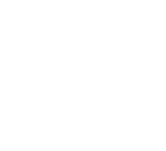 Revolution Dance