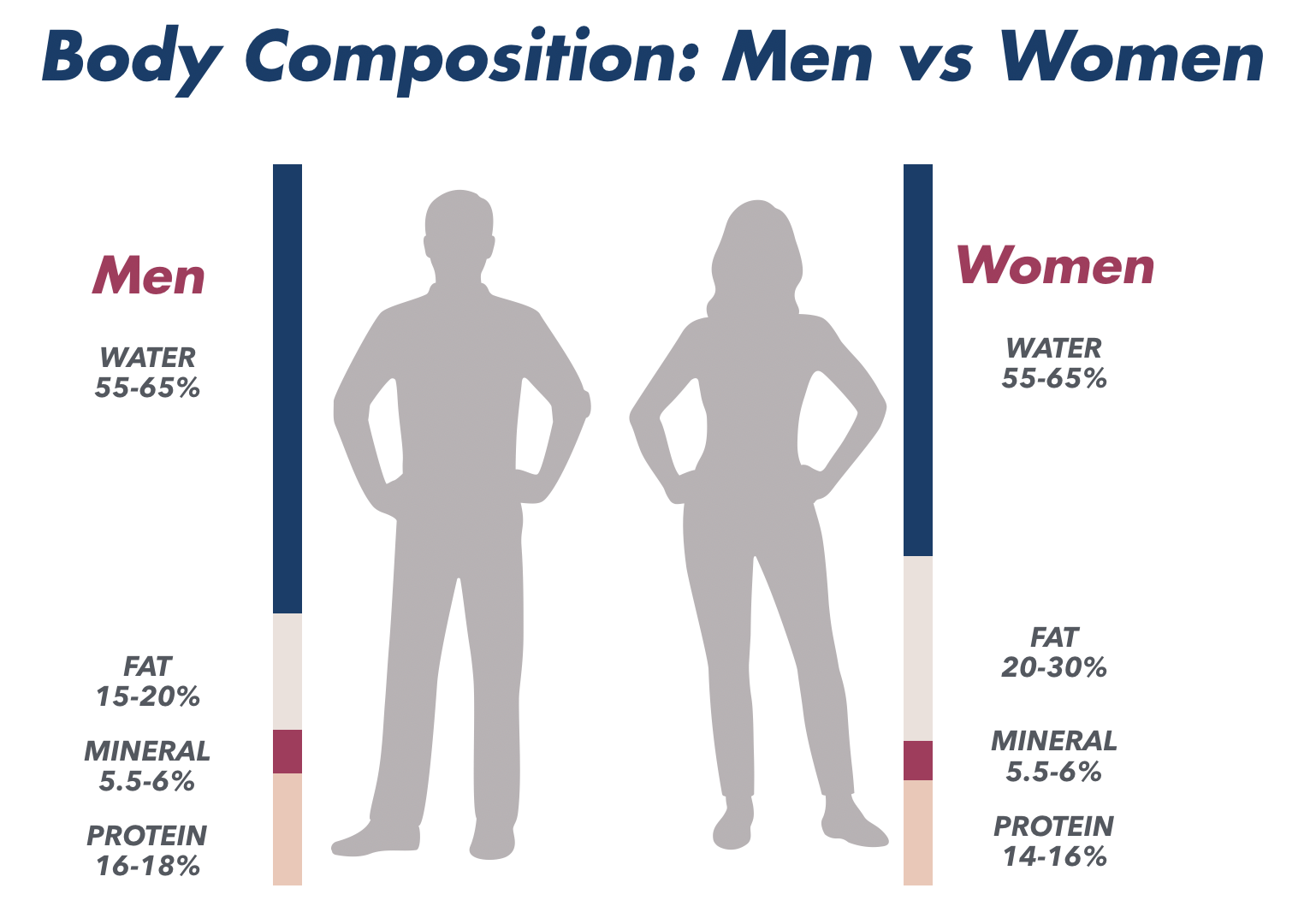 body composition.png