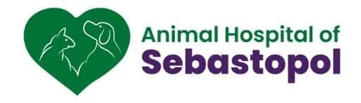 Animal Hospital of Seb.jpeg