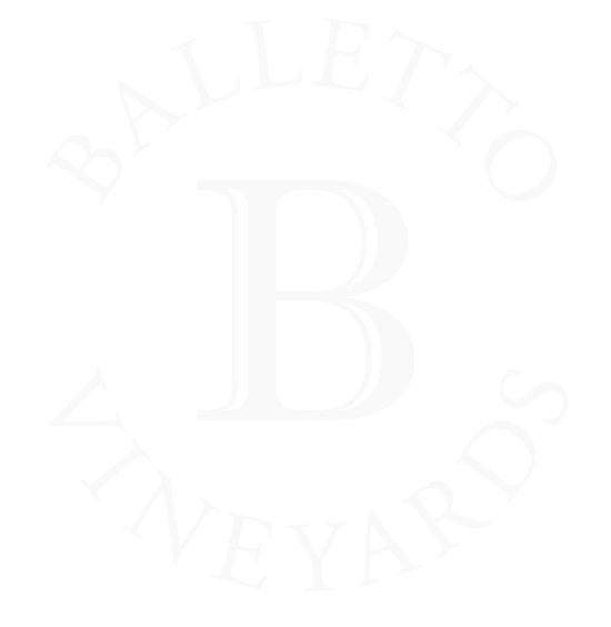 Balletto Vineyards.webp