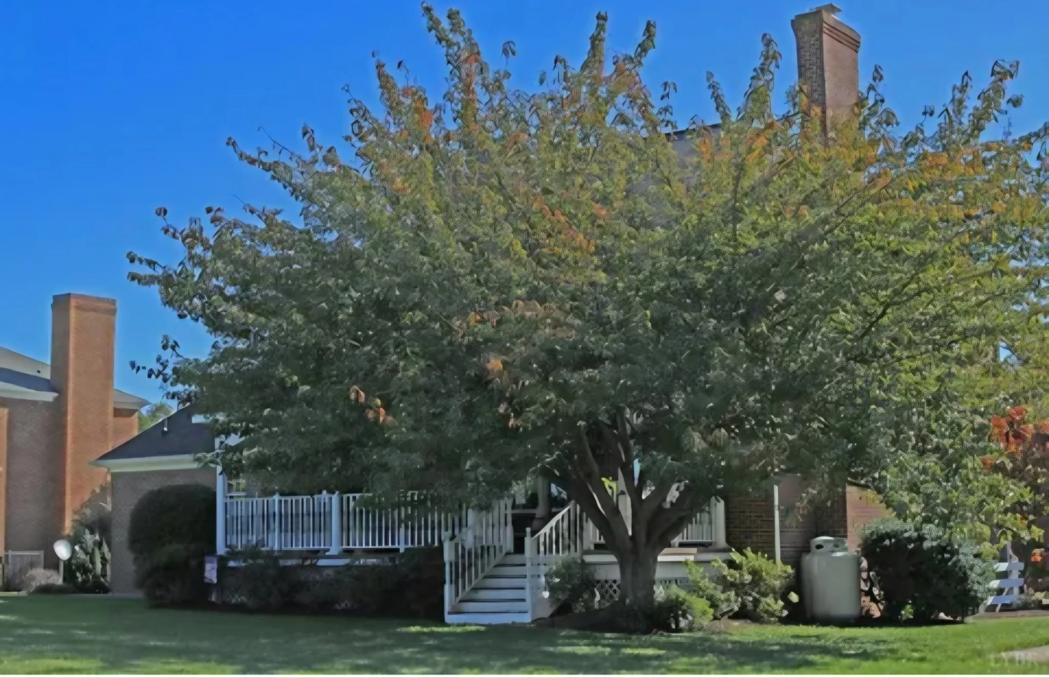 LOCATION: Forest, Virginia - Available!