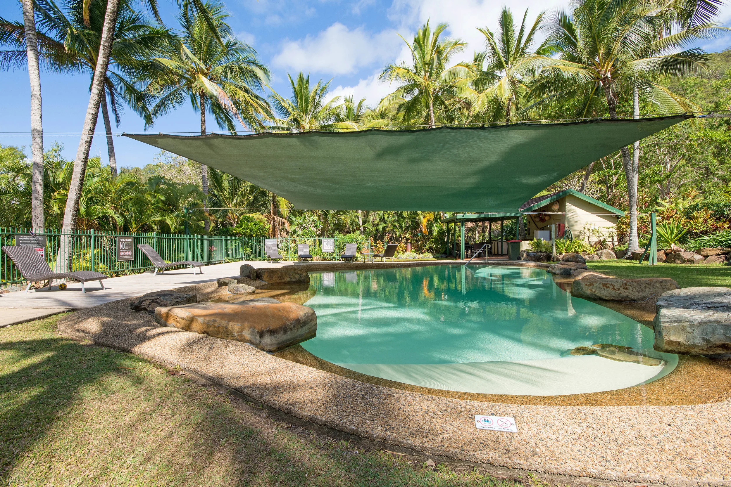 frango pool 2.jpg