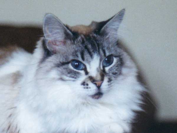 Sara