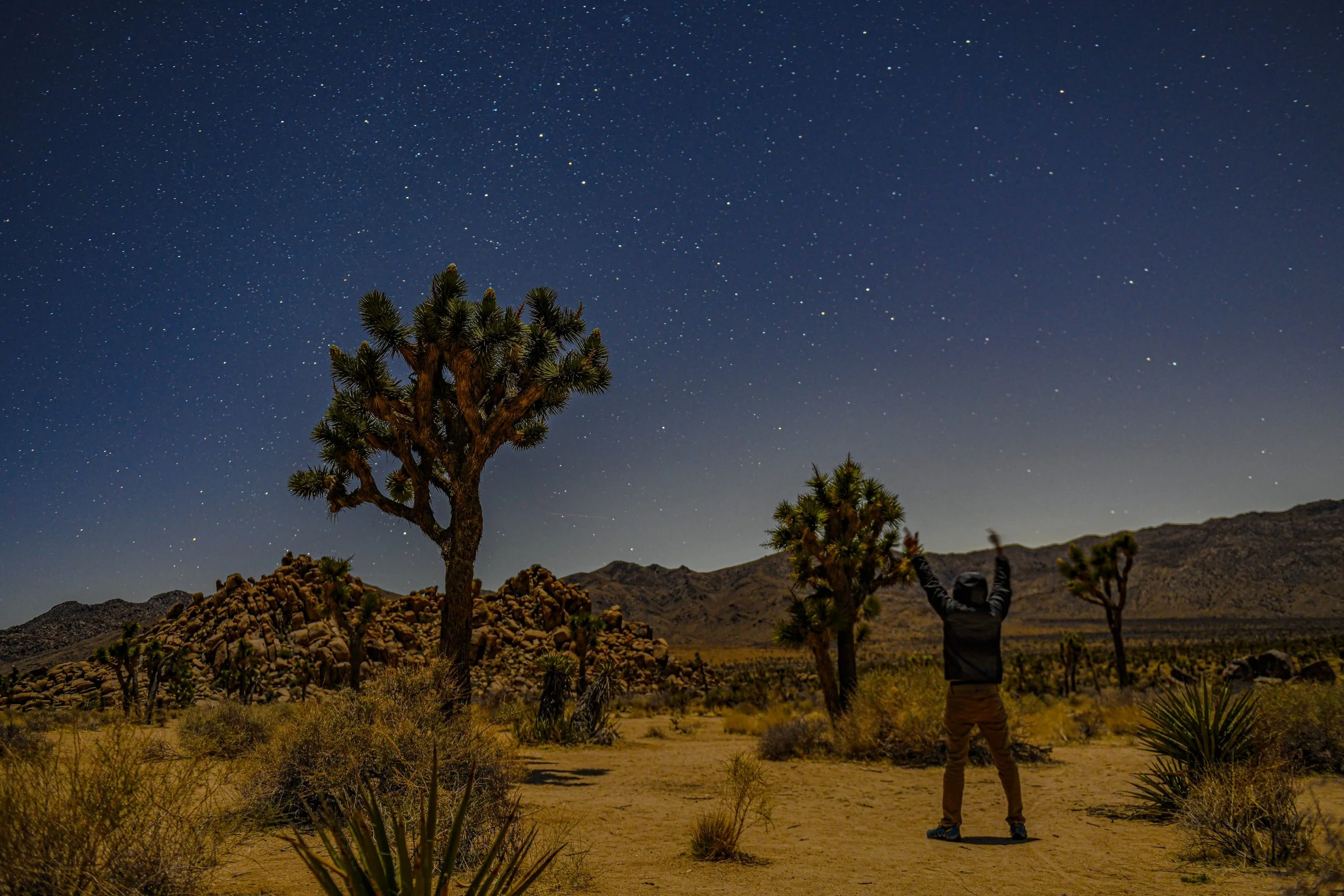  Chasing the stars at Joshua Tree National Park  