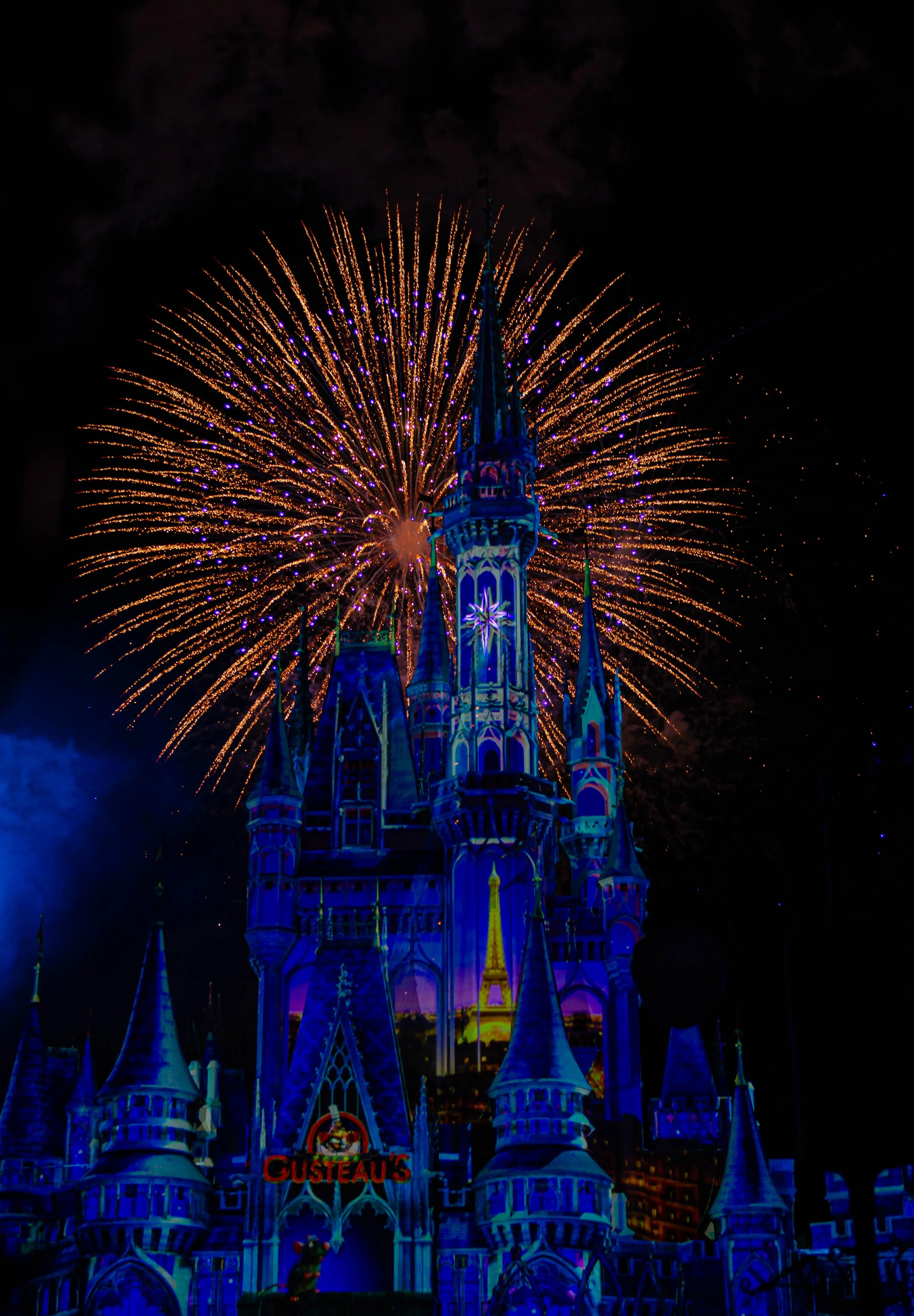  Disney World Orlando 