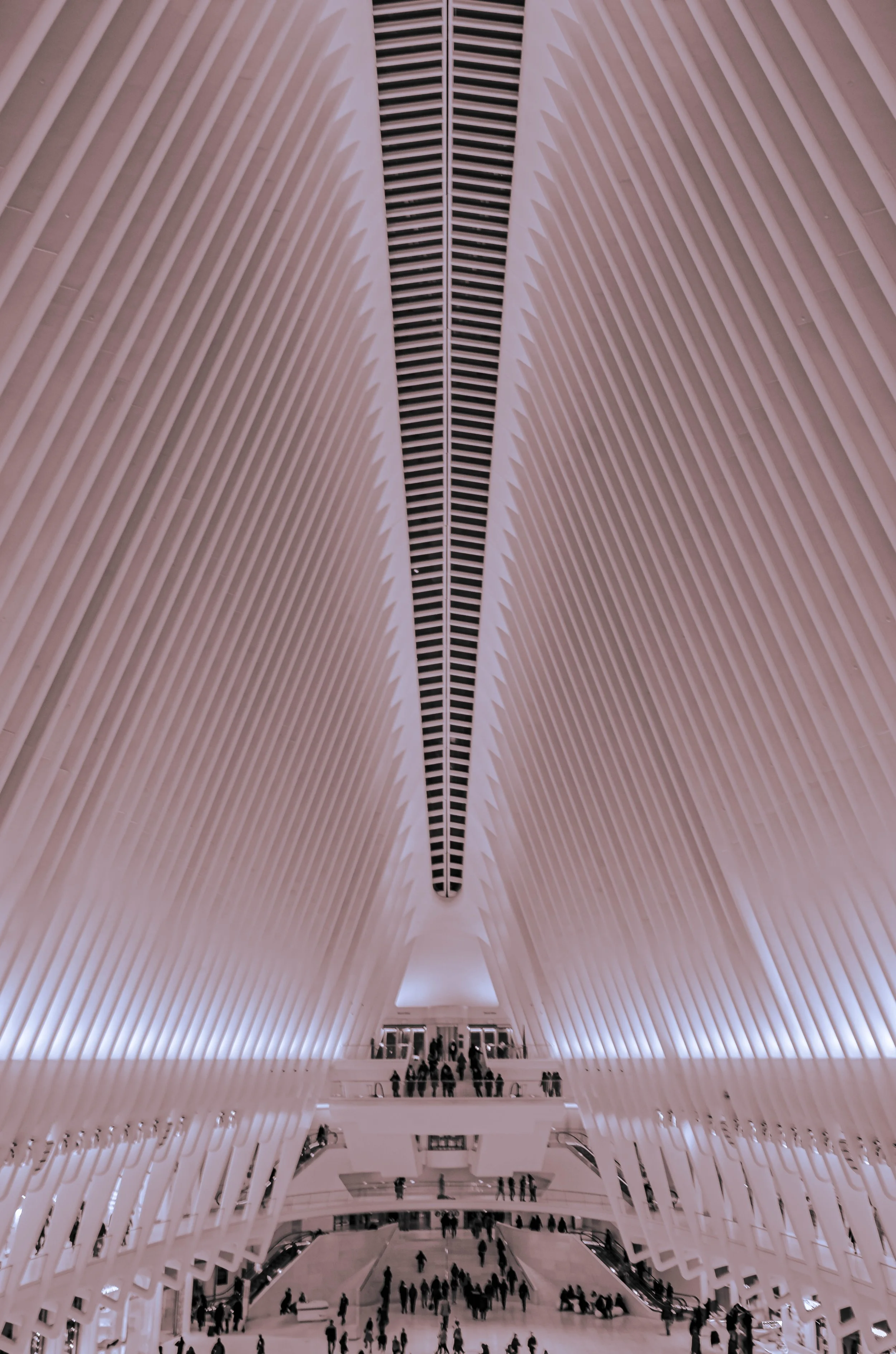  Oculus World Trade Center, New York City 