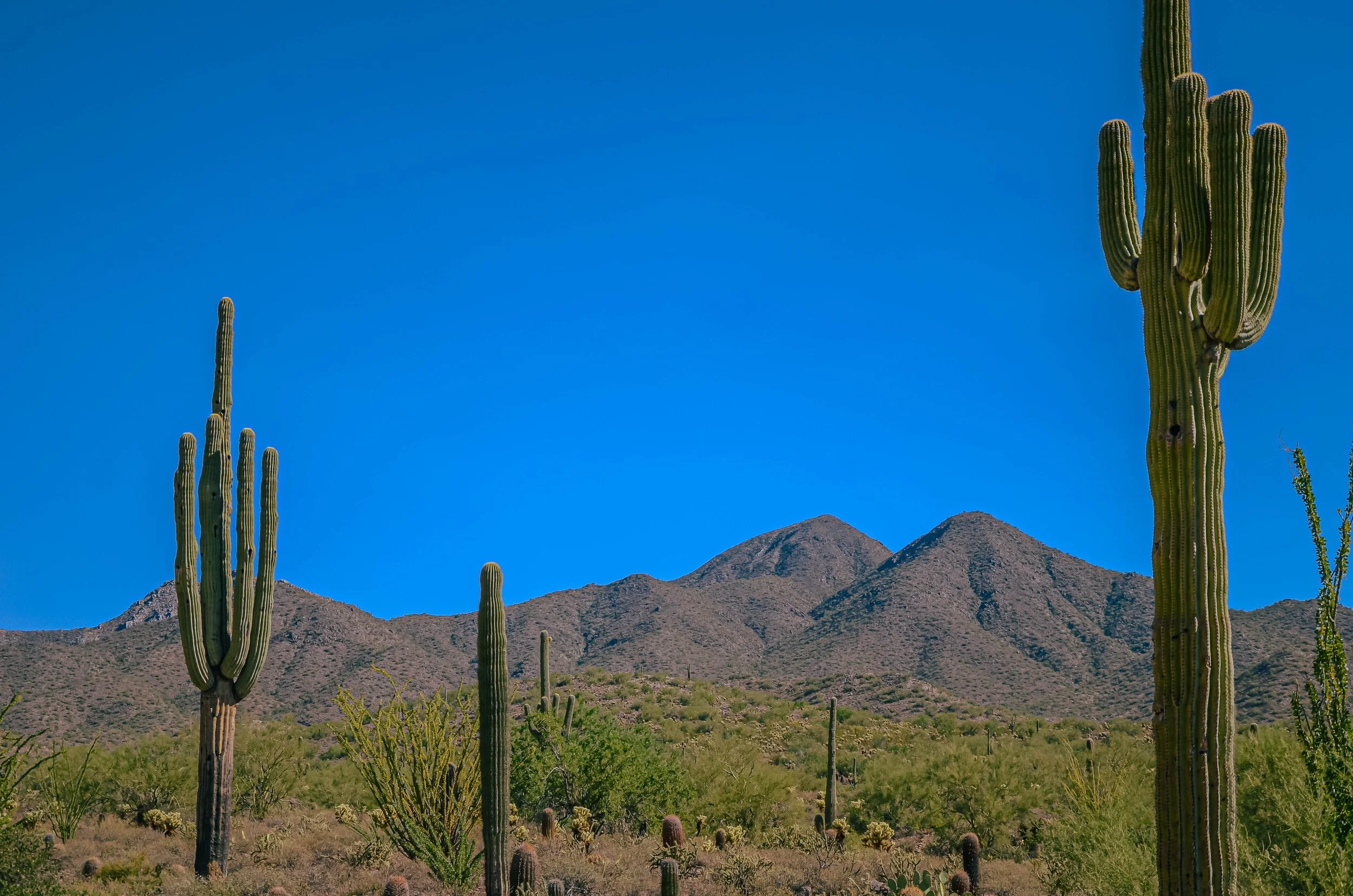  Scottsdale, Arizona  